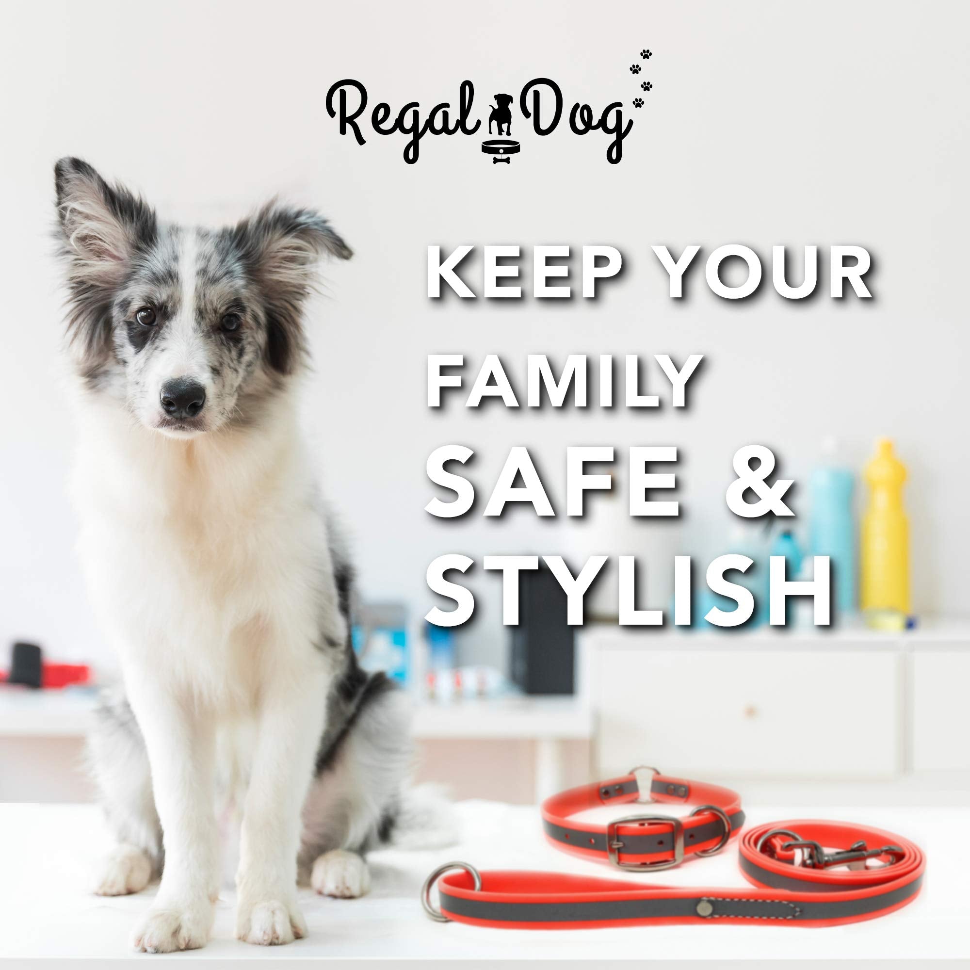 Regal Dog Products Medium Orange Reflective Dog Collar And Leash Set - Waterproof Biothane Dog Collar With Heavy Duty D Ring, Center Ring & 5'Ft Leash For Training - Other Sizes For Small & Large Dogs
