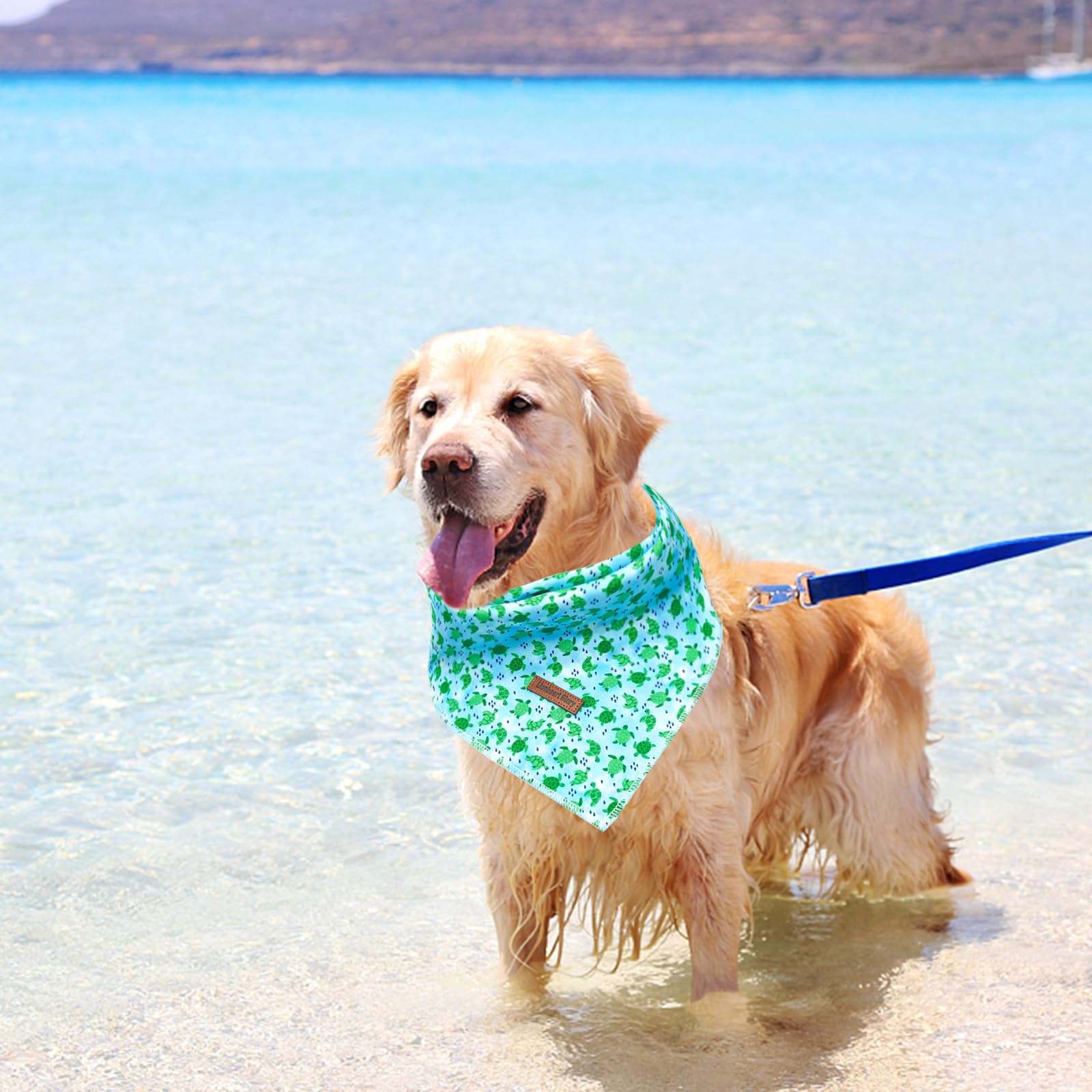 Lionheart Glory Dog Bandana - Blue, Soft Washable Square Bandana For Small To Large Dogs