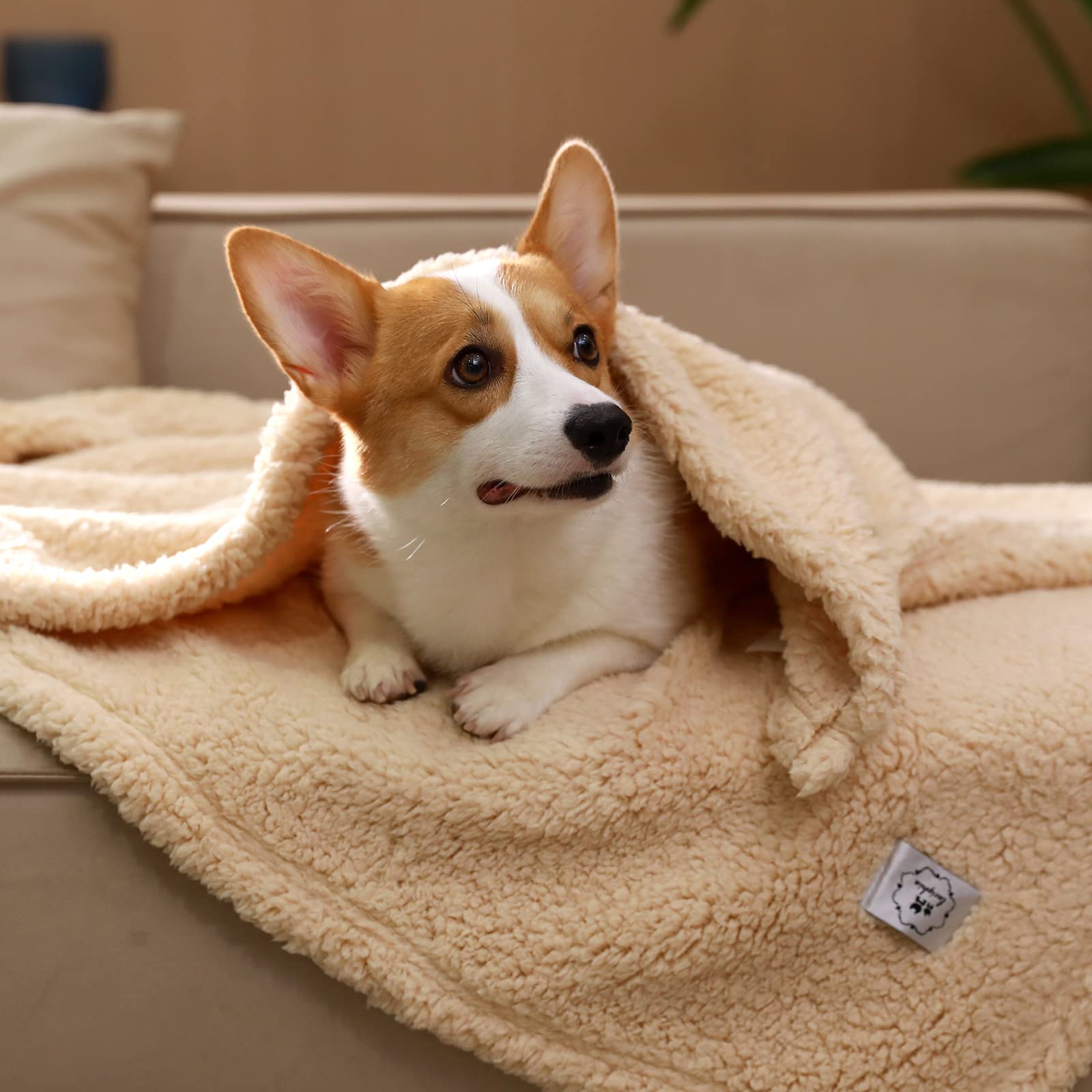 1 Pack 3 Calming Blankets Fluffy Premium Fleece Pet Blanket Soft Sherpa Throw For Dog Puppy Cat Beige Medium (30'' X20'')
