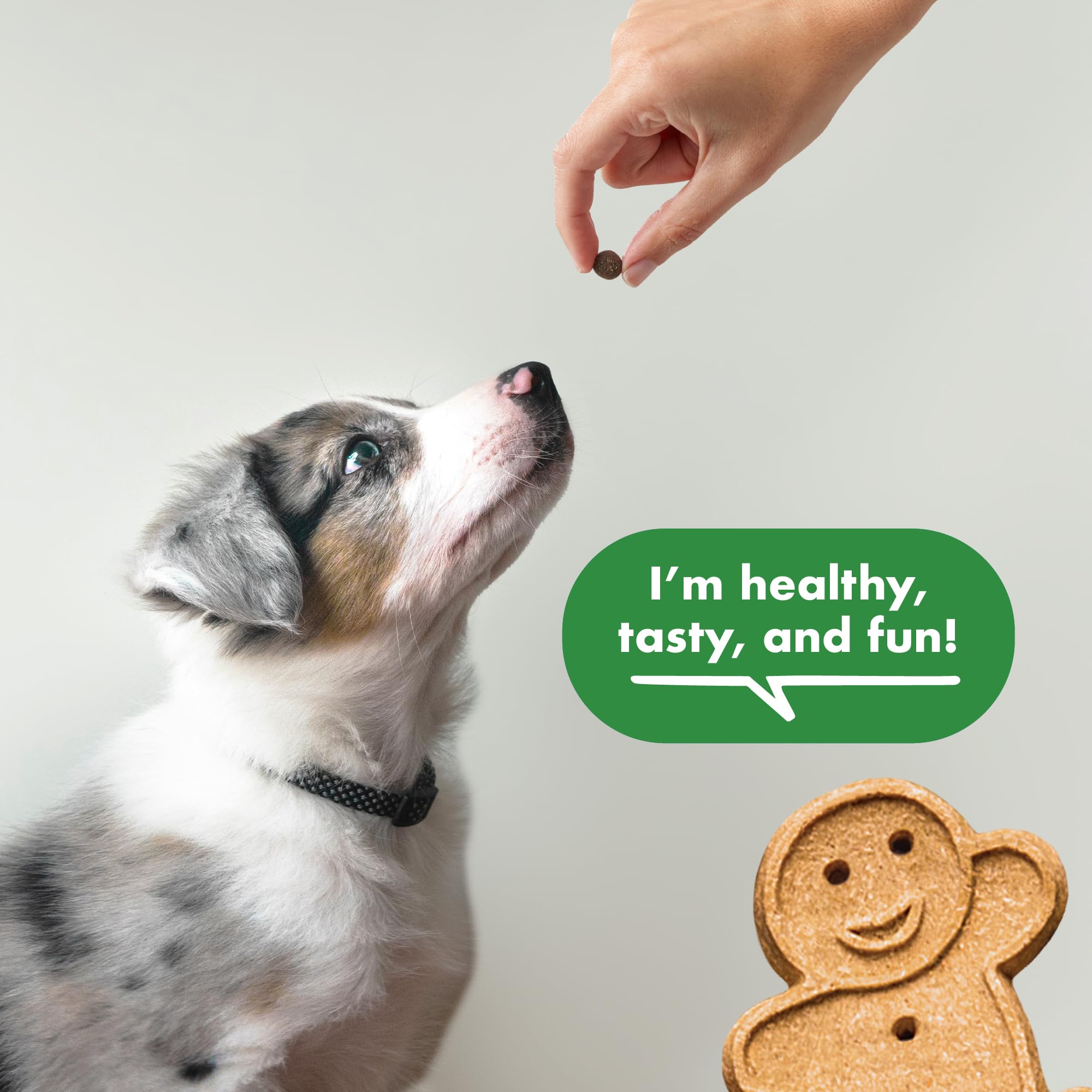 Buddy Biscuits Trainers 10 oz. Pouch of Training Bites Soft & Chewy Dog Treats Made with Chicken Flavor