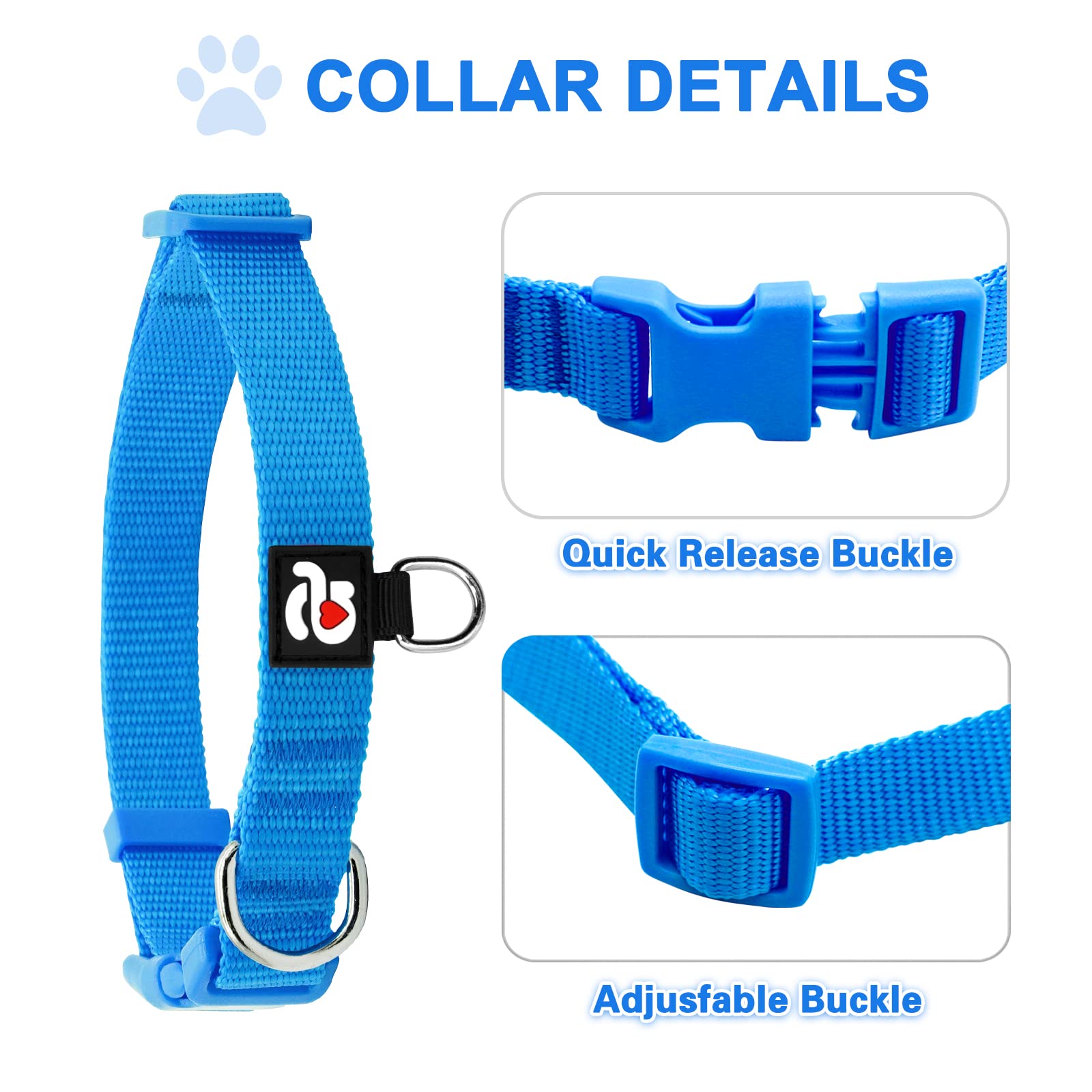 Azuza 3 Pack Dog Collars Comfortable And Adjustable Nylon Dog Collars For Puppy Small Dogs, Xs (8-12Inch),Green, Blue And Royal