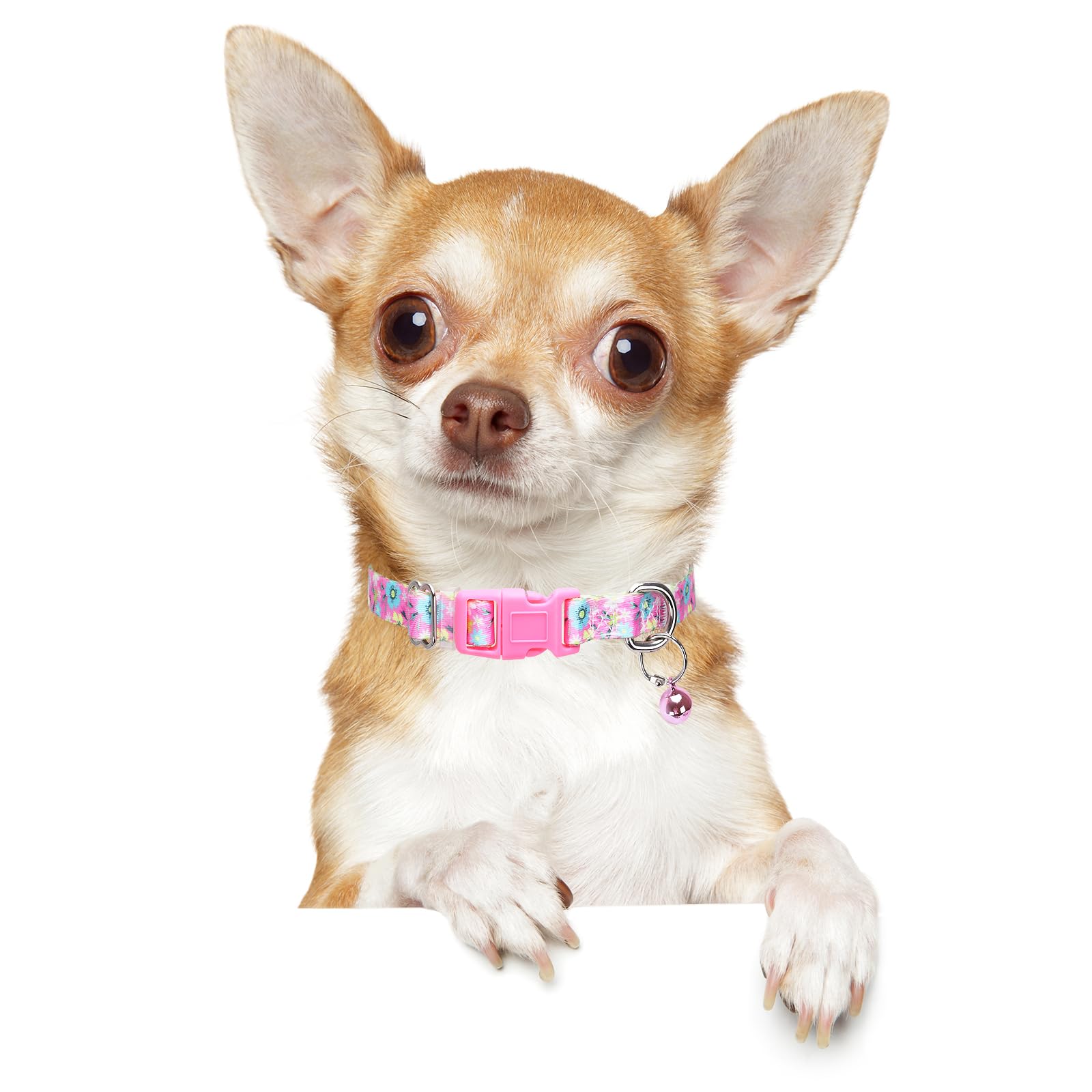 Small Dog Collar With Bell - Durable Nylon Collar For Small Breeds, Adjustable Flower Pattern Collar For Chihuahua Pomeranian Yo