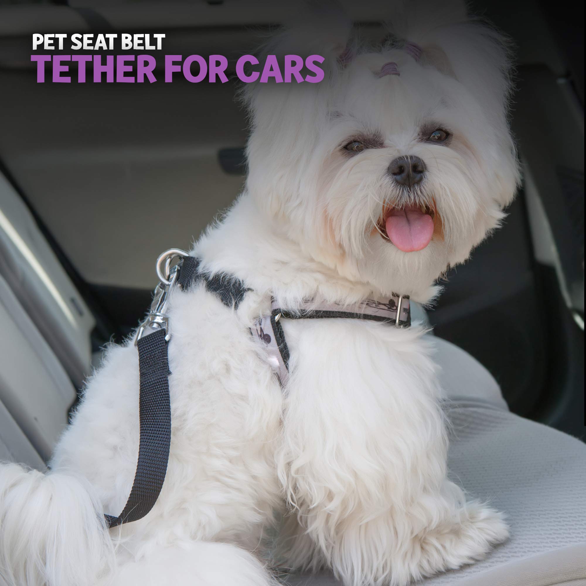 Poodle Pet Easy Click Car Seat Belt For Dogs | Adjustable Length Nylon Strap And Metal Car Seat Buckle | Safe And Secure Dog Sea