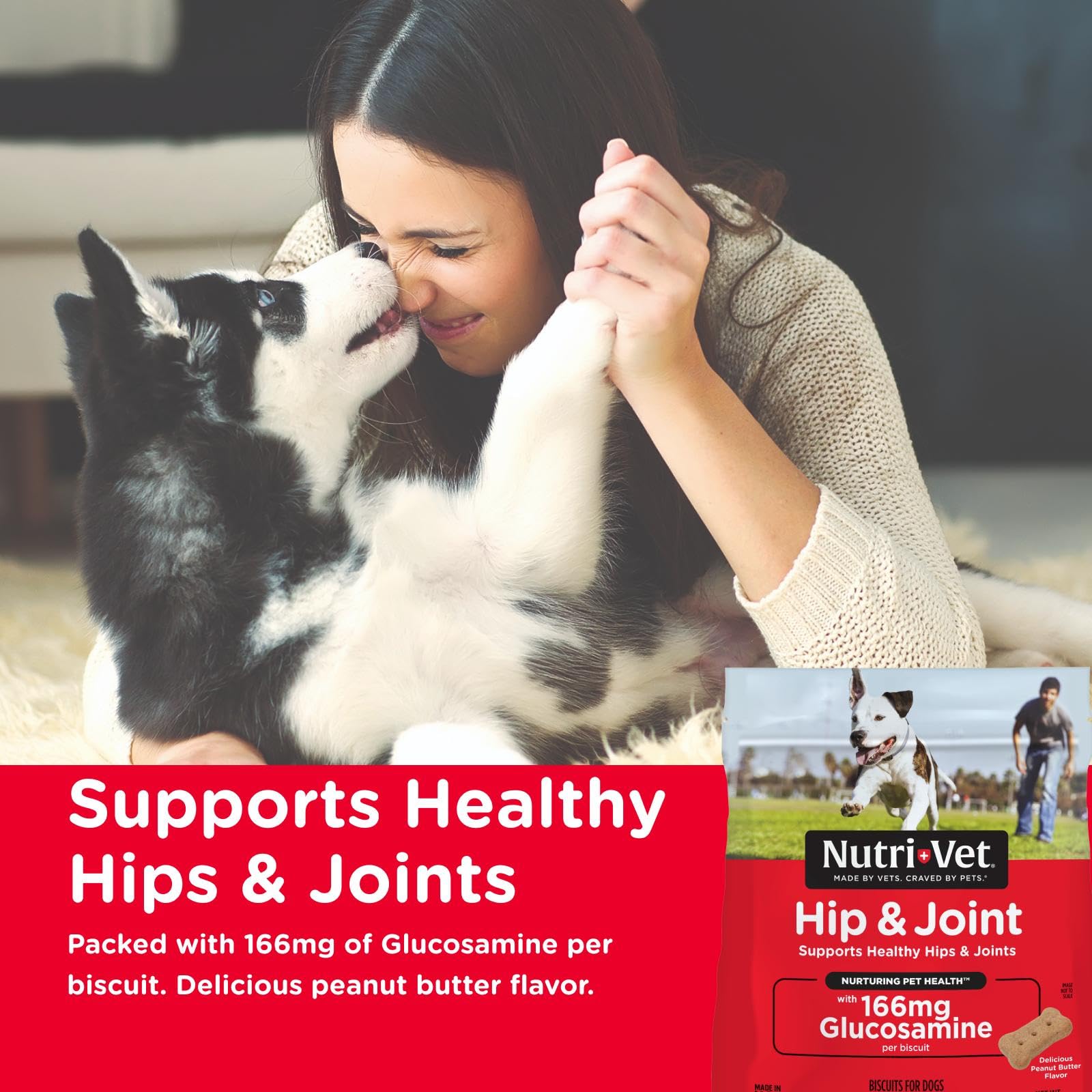 Nutri-Vet Hip & Joint Biscuits for Dogs - Tasty Dog Glucosamine Treat & Dog Joint Supplement - Small Sized Biscuit with 166mg Gl