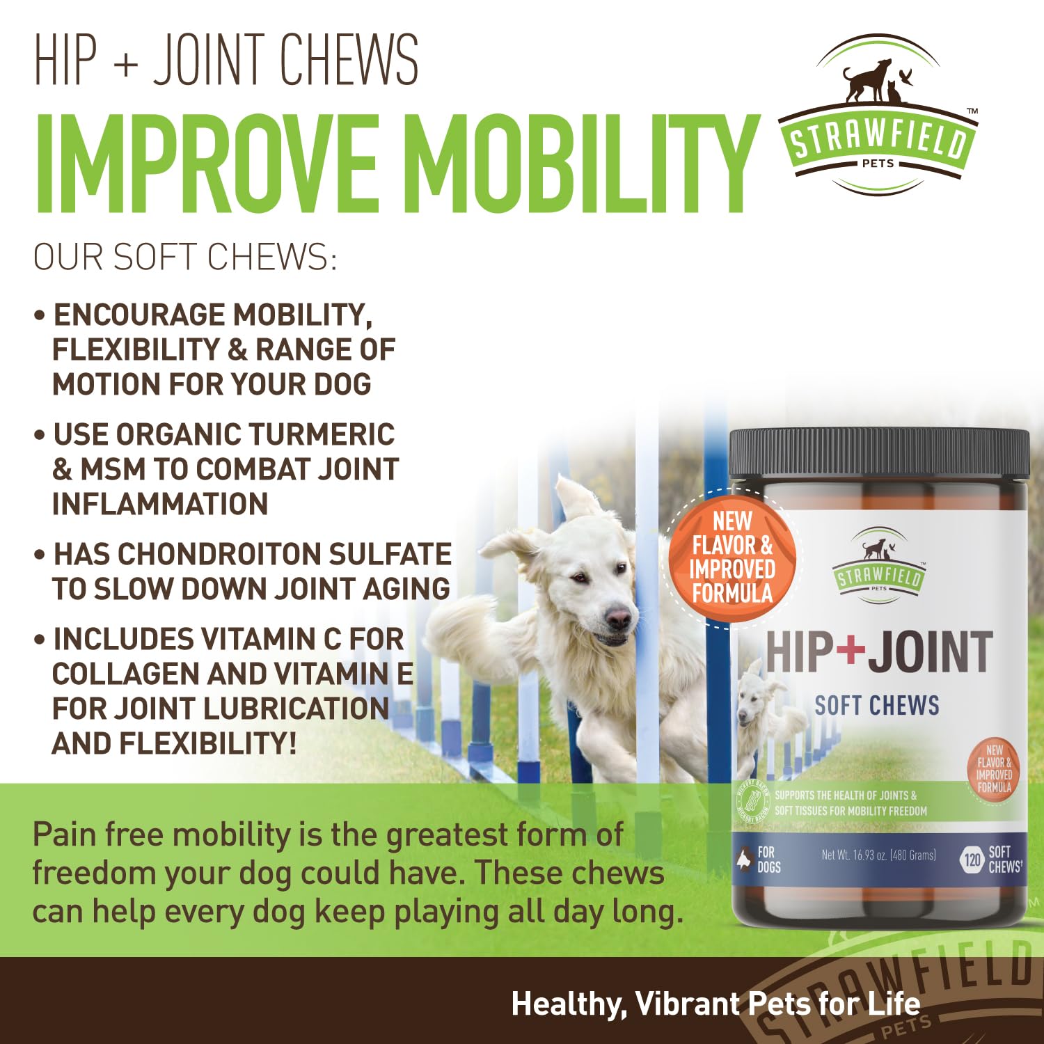 Strawfield Pets Hip + Joint Chews for Dogs Advanced Dog Joint Supplement with Glucosamine Tasty Healthy Mobility Treats Bacon Fl