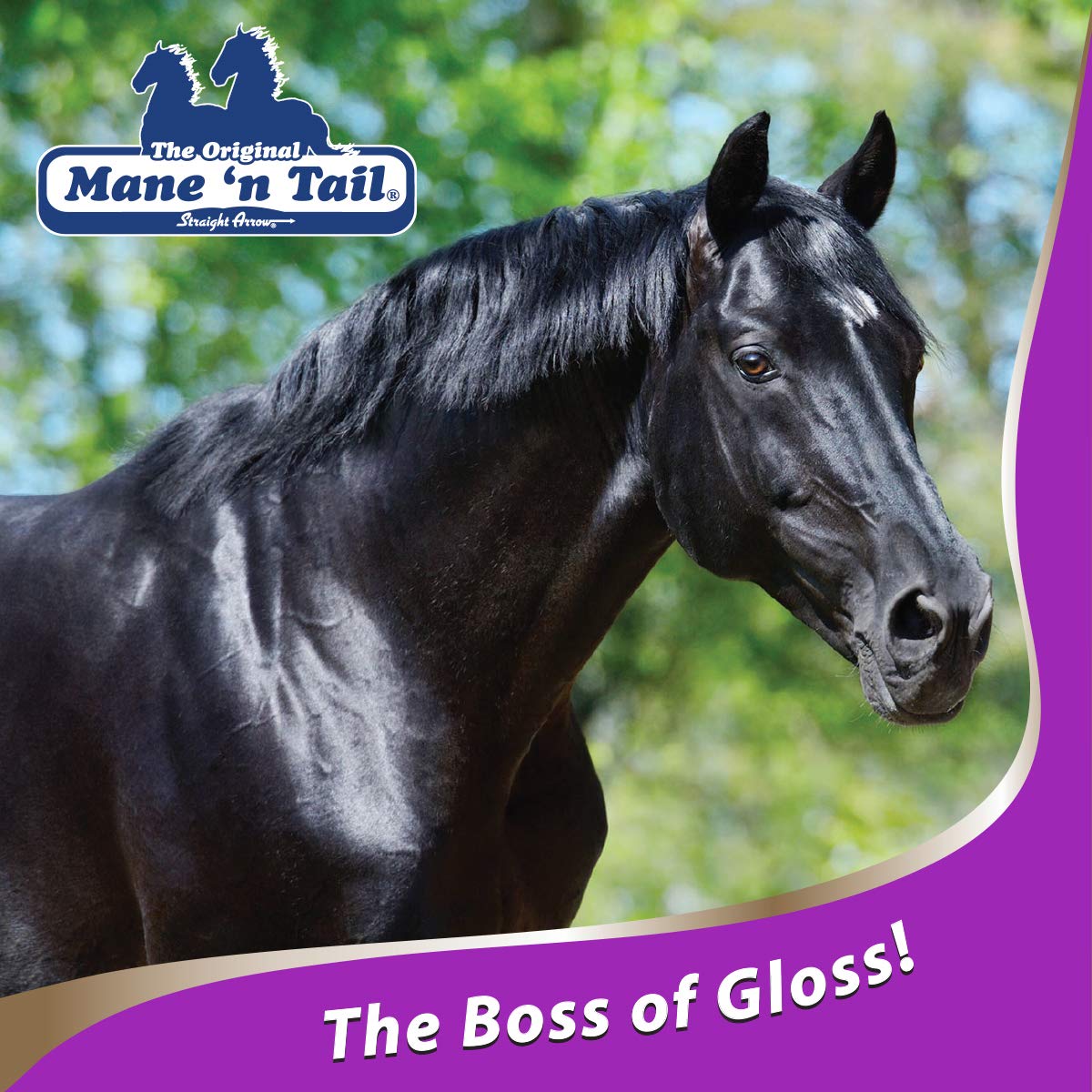 Mane 'N Tail New Ultimate Gloss Shampoo 32Oz
