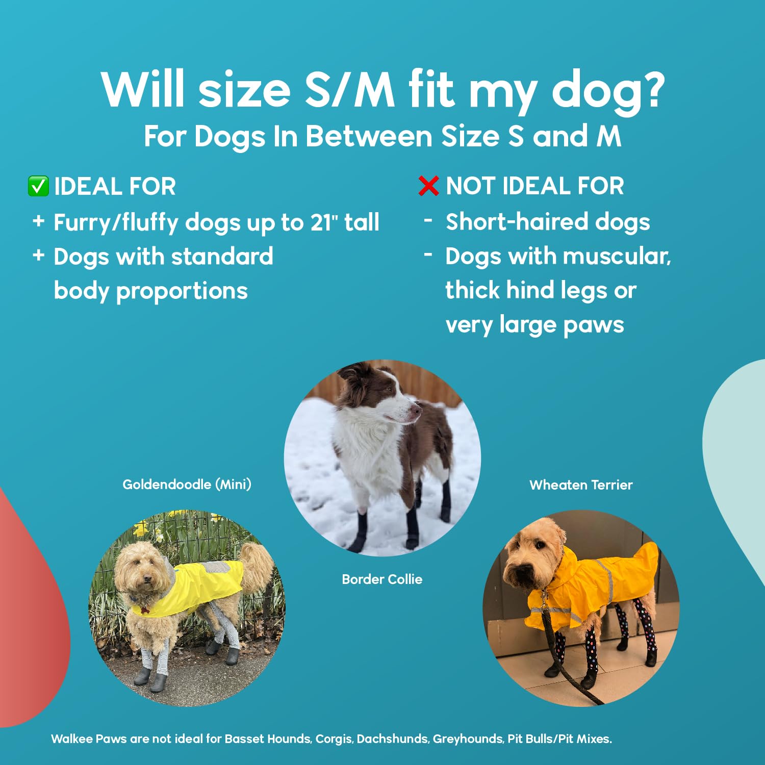 Walkee Paws New Deluxe Easy-On Dog Boot Leggings, Seen On Shark Tank, Protects From Winter, Cold, Wet & Snow, Allergens & Chemicals, Never Lose A Boot Shoe Or Sock Again (Classic, Small/Medium)
