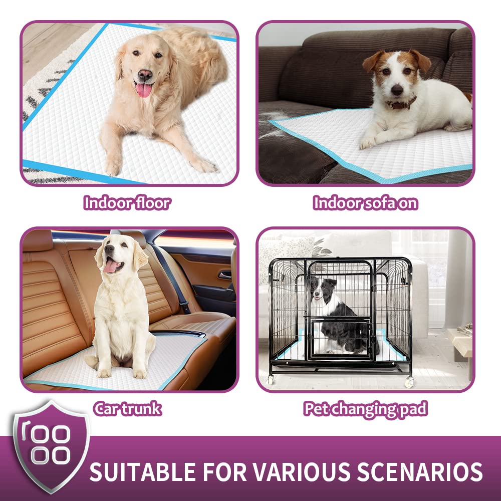 IMMCUTE Extra Large Dog Pee Pads - 30"x36", Super Absorbent & Leak-Proof, 30 Ct, Blue, Ideal for Puppies, Dogs, Cats & Rabbits
