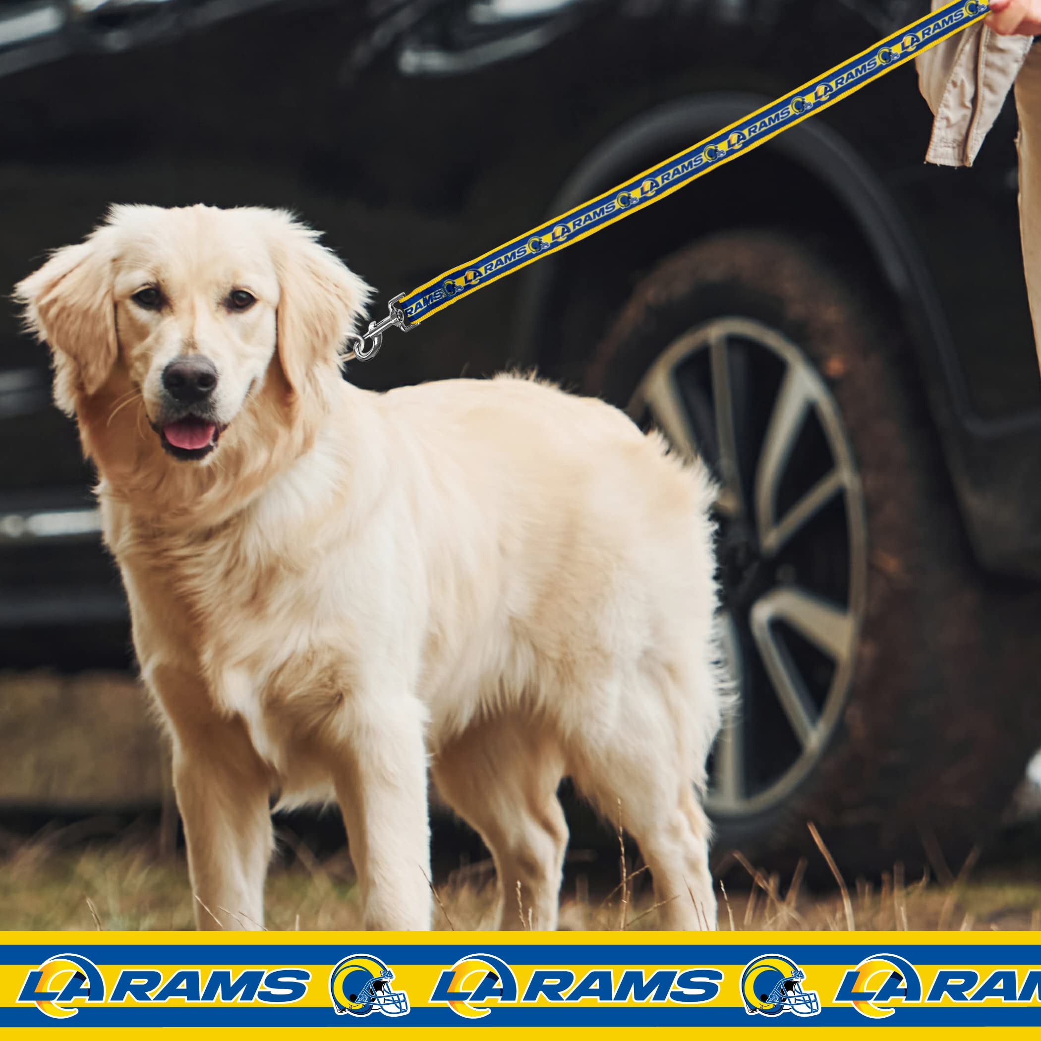 Pets First Los Angeles Rams Pet Leash, Large