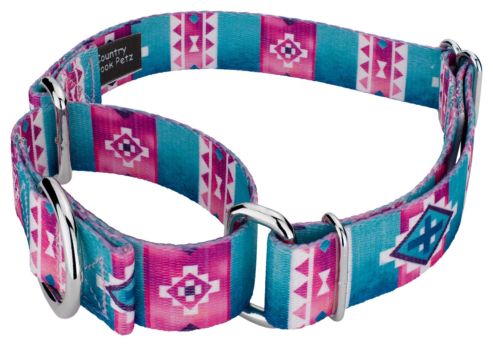 Country Brook Petz - Albuquerque Martingale Dog Collar - Country And Western Collection Featuring Rustic Designs (1 Inch, Large)