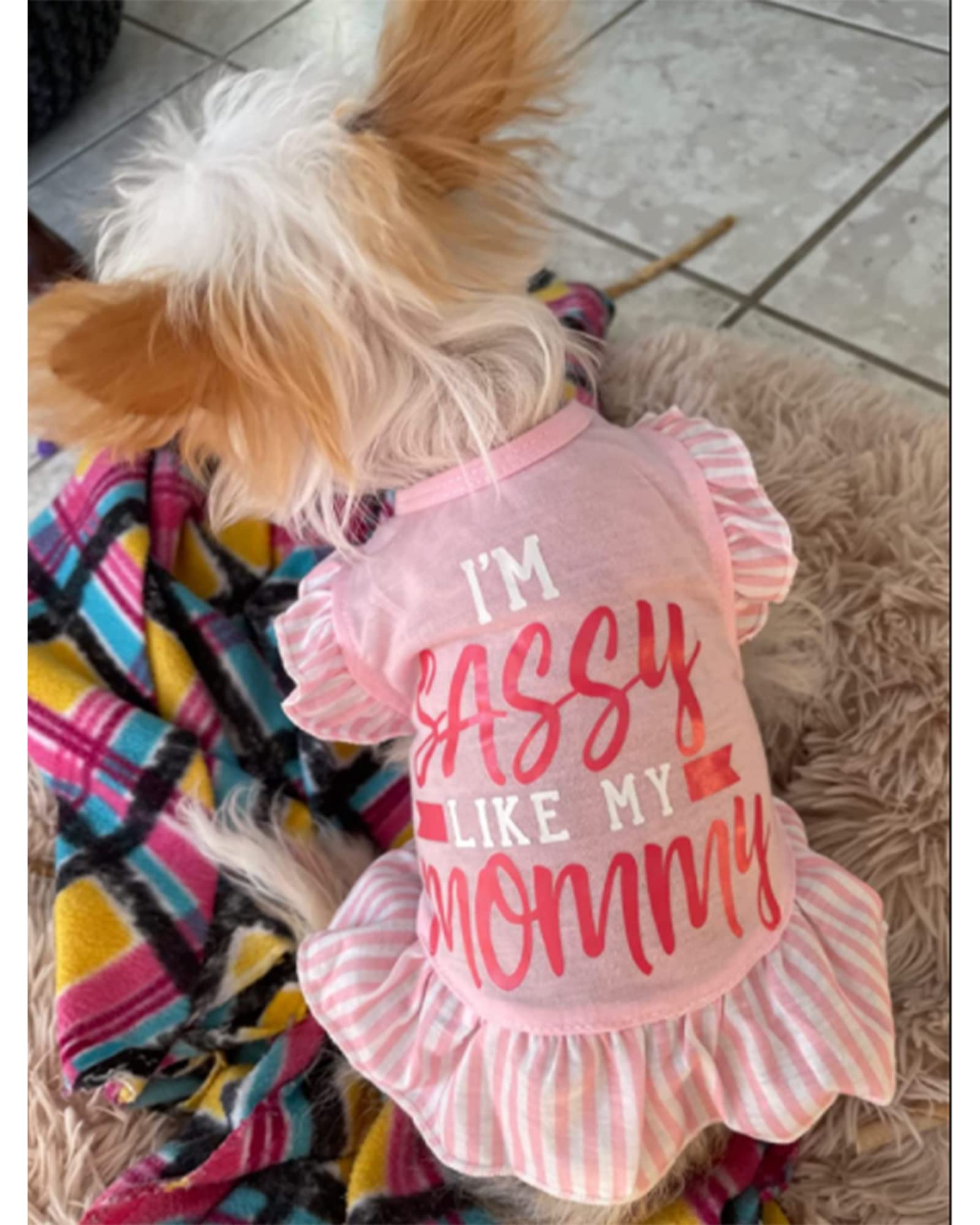 Xpudac 4 Pieces Pet Dog Dress Shirt Puppy Skirt Cute Doggie Dress Dog Summer Clothes Dog Apparel For Small Dogs And Cats (Pink Angel, Medium(8-11 Lbs))