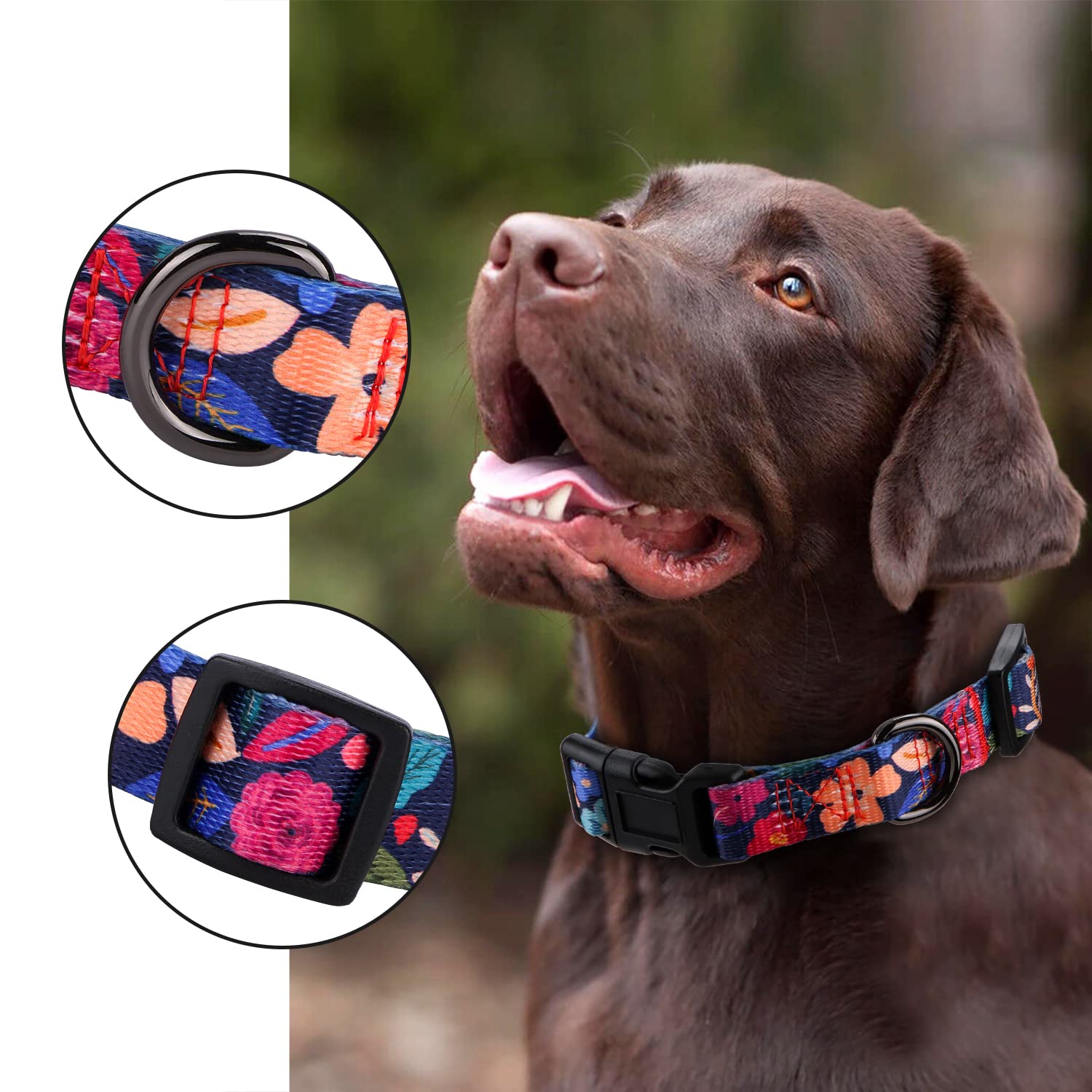 Rhea Rose Dog Collar For Medium Dogs Special Design Cute Floral Plant Pattern Girl Female Pet Collar (Black, M)