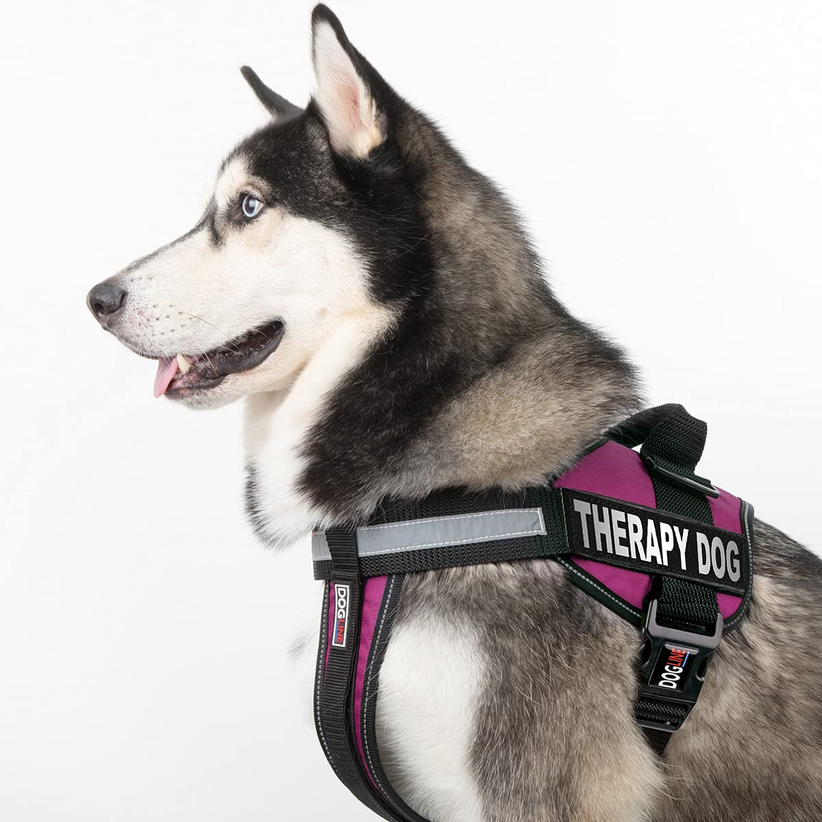 Dogline Vest Harness For Dogs And 2 Removable Therapy Dog Patches, X-Large/36 To 46', Pink