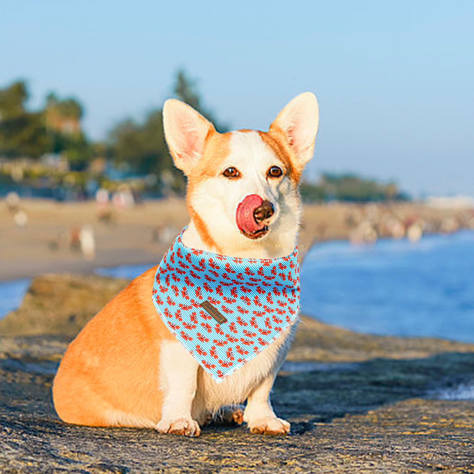 Lionheart Glory Blue Stripe Dog Bandana 1 Pack Washable Soft Dog Scarf, Square Adjustable Dog Bandanas For Medium Large Dogs, N:
