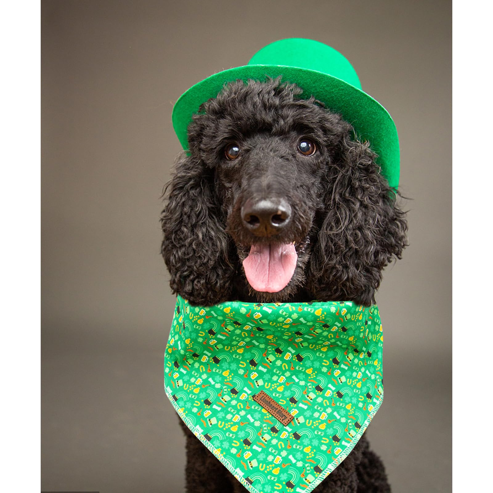 Lionheart Glory St. Patrick'S Square Dog & Cat Bandana - 1 Pack, Washable Soft Dog Scarf, Adjustable Bandanas