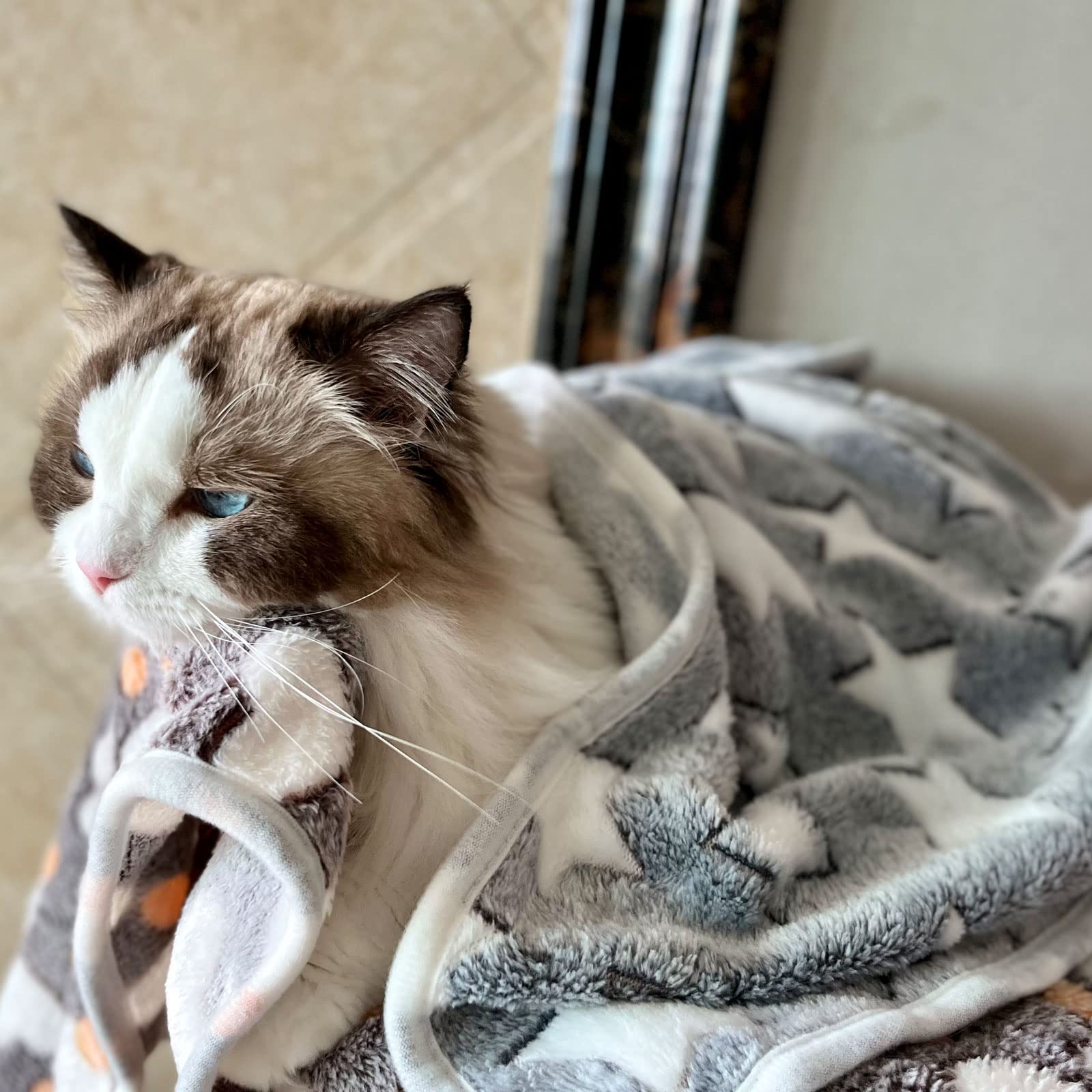 1 Pack 3 Puppy Blankets Cat Dog Blankets Super Soft Warm Sleep Mat Grey Star Cute Print Blanket Fluffy Fleece Pet Blanket Flannel Throw For Small Dogs Puppy Dogs Cats Small(23'X15')