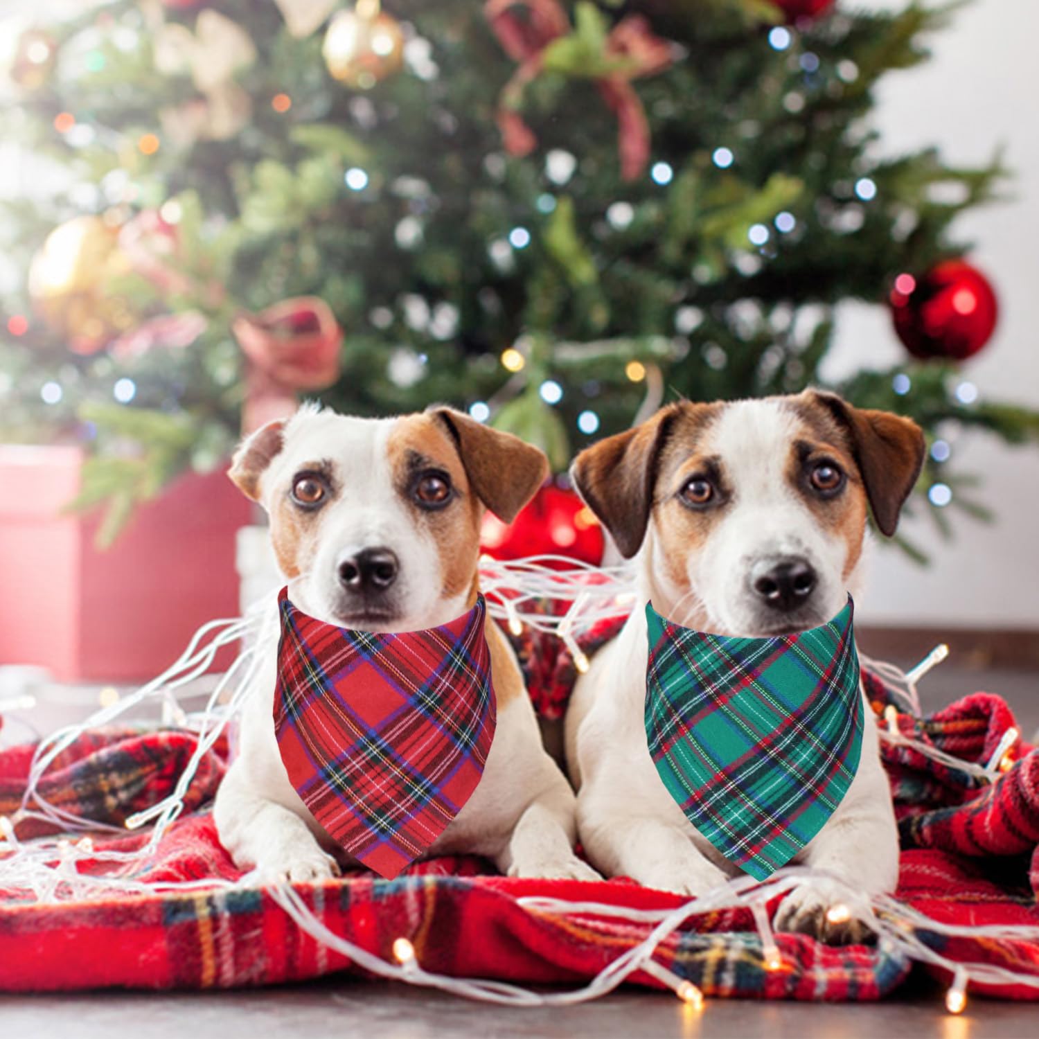 Stmk 2 Pack Multi Size Dog Christmas Bandanas, Premium Cotton Fabric Plaid Holiday Bandanas For Small Medium Dogs Pets (Christma