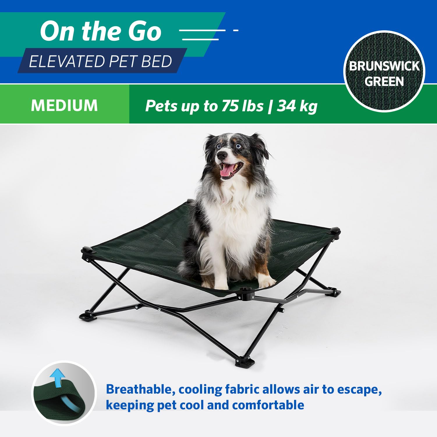 Coolaroo On The Go Pet Bed - Brunswick Green - Medium (30'' X 30'')