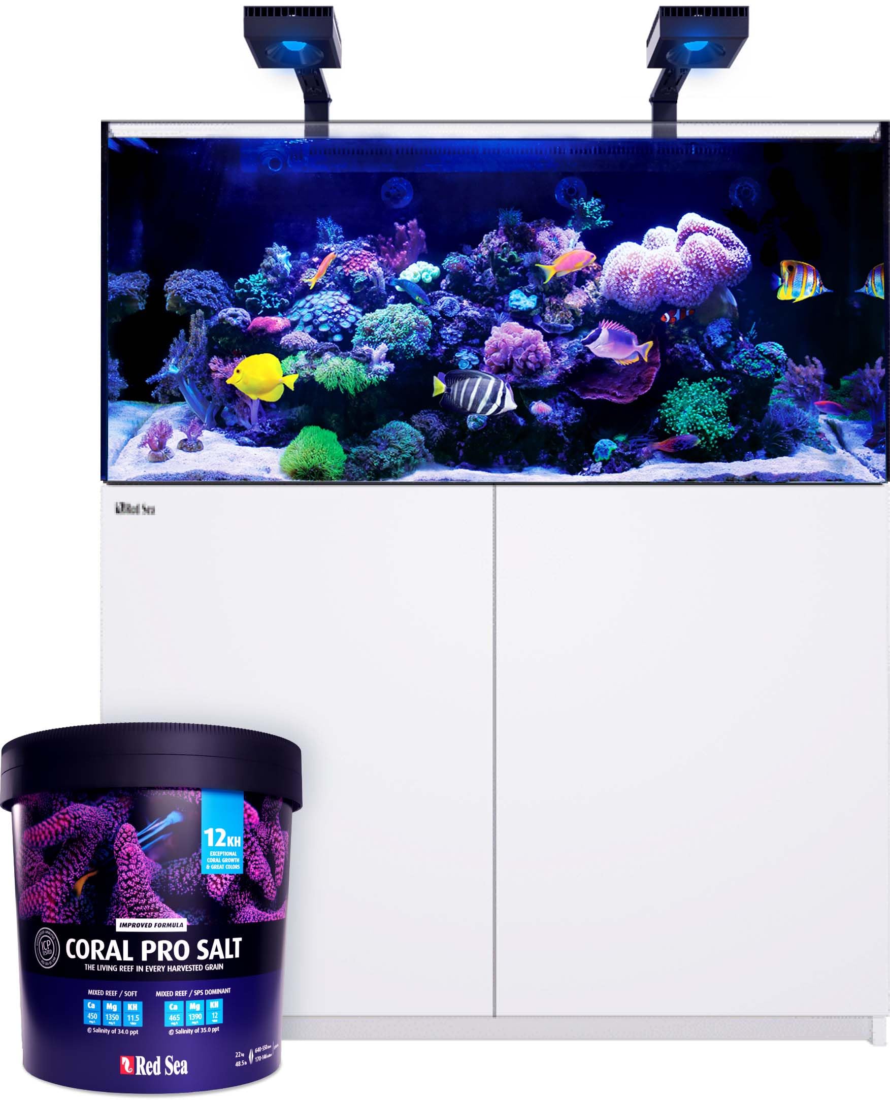 Red Sea Coral Pro Reef Salt Mix Small Bucket | Makes 55 Gallons Complete Marine Saltwater Aquarium Advanced Formula Optimal Cora