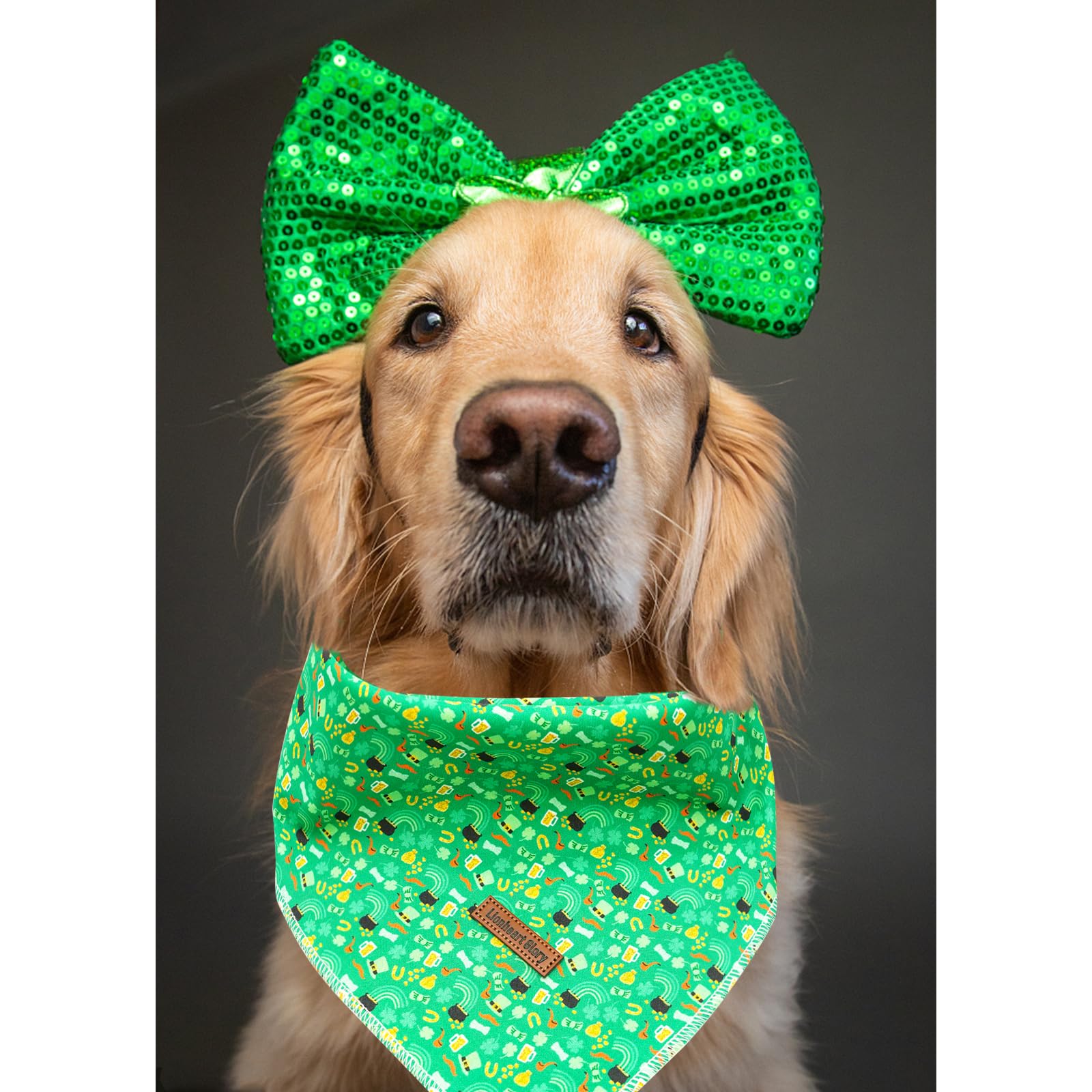 Lionheart Glory St. Patrick'S Square Dog & Cat Bandana - 1 Pack, Washable Soft Dog Scarf, Adjustable Bandanas