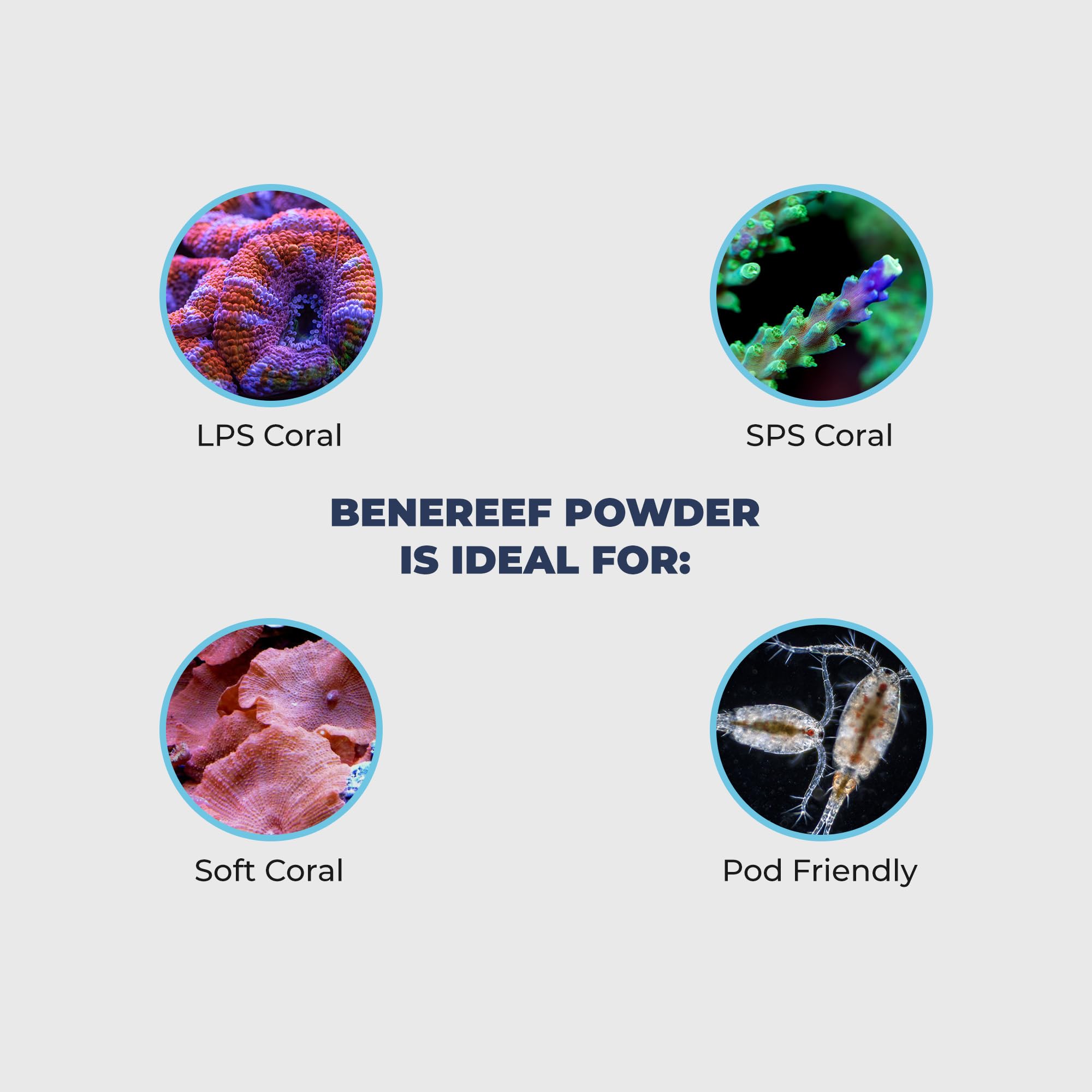 Benereef 160g Jar