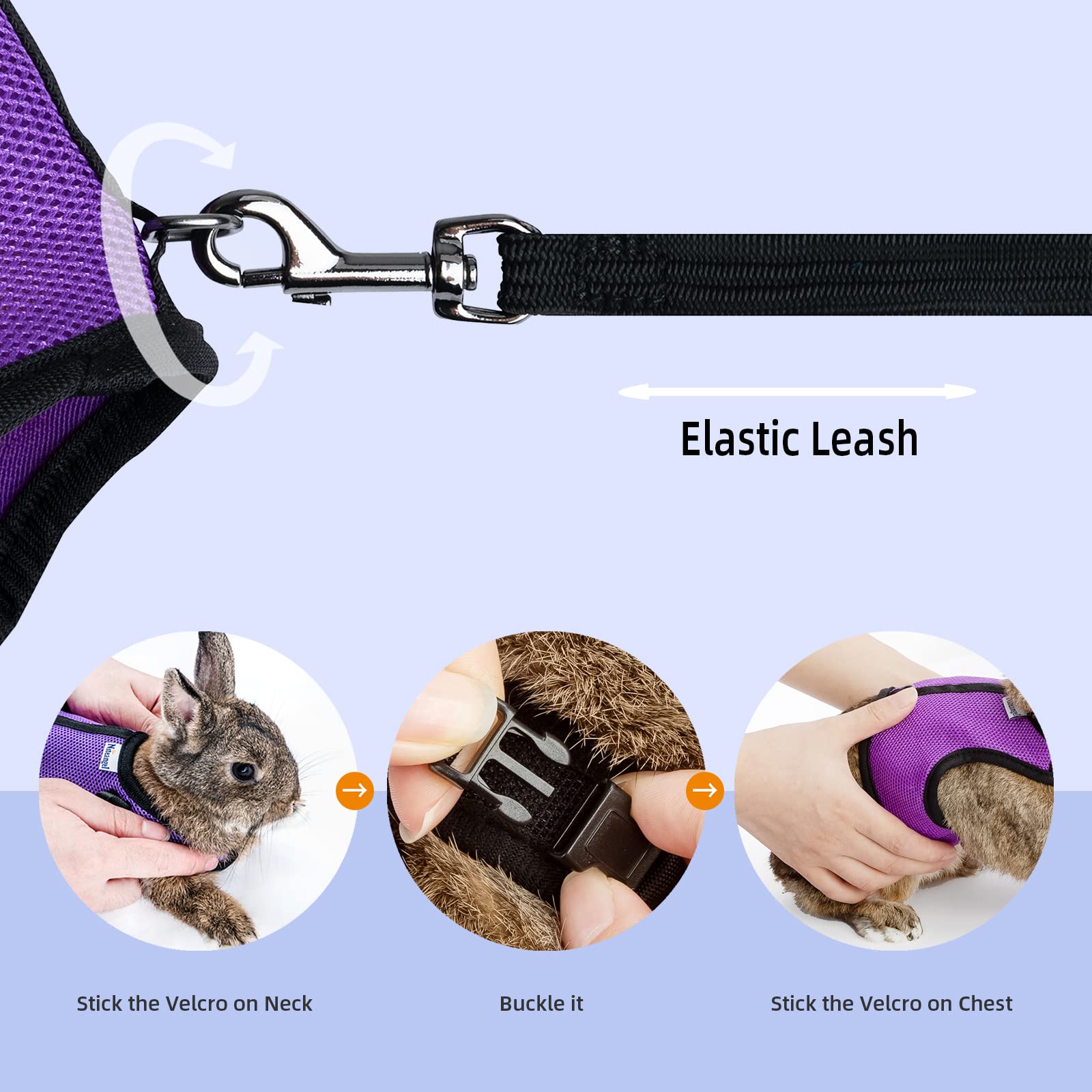 Niteangel Adjustable Soft Harness With Elastic Leash For Rabbits (M, Purple)