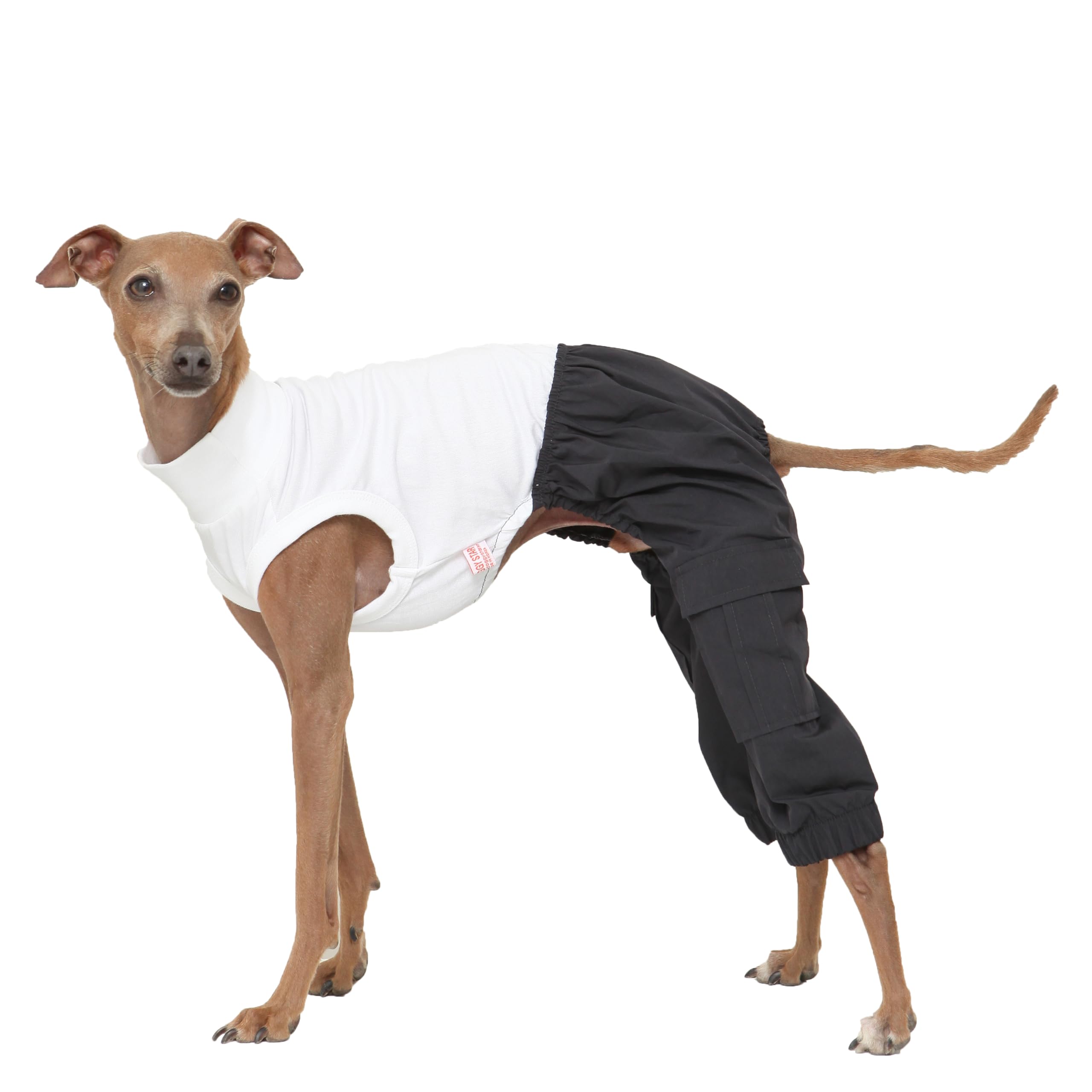 D Doggy Star Italian Greyhound Clothes Cargo Pants Onesie Outfit Whippet For Dog Coat (M,Navy Cargo)