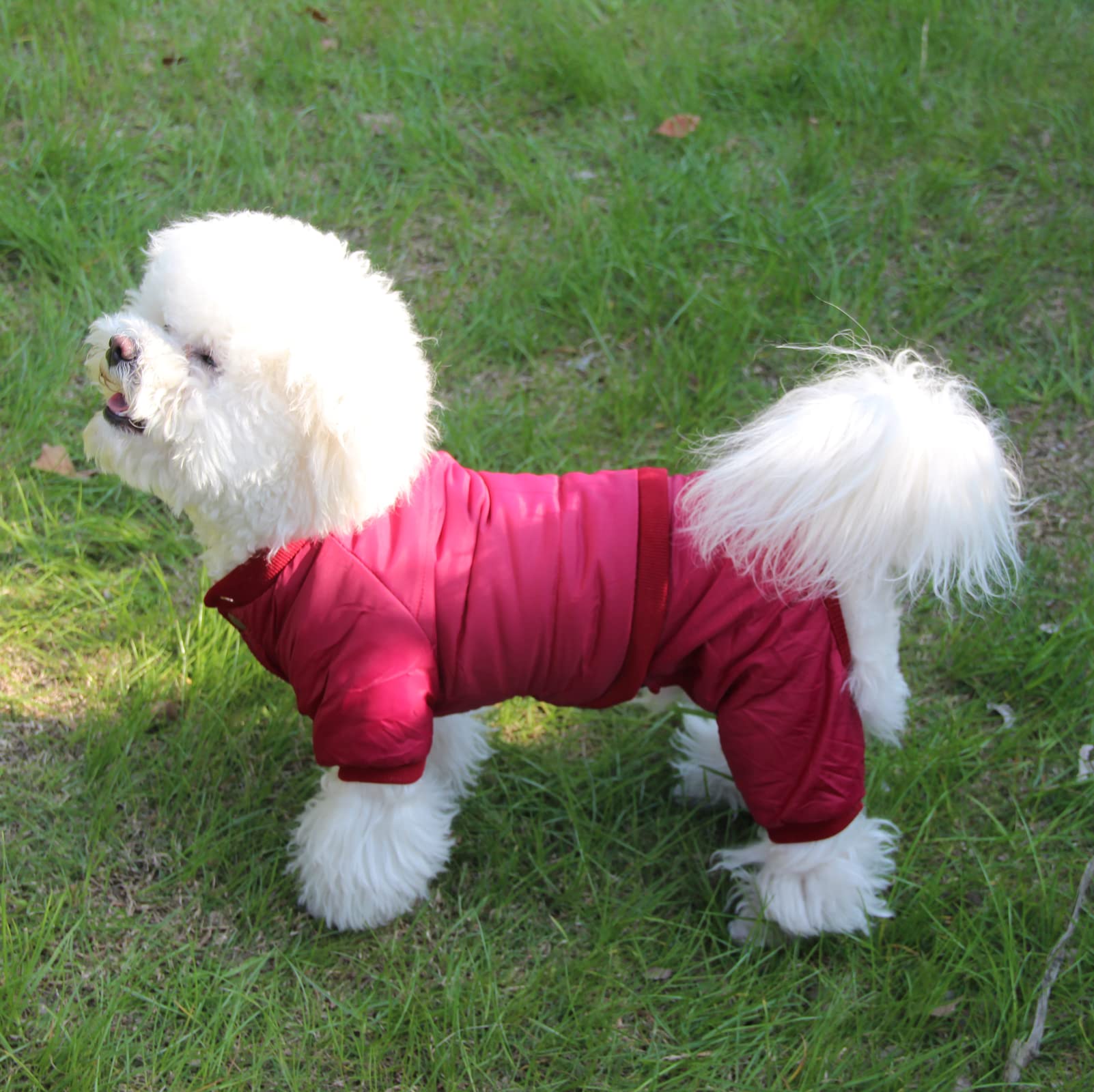 Joydaog Fleece Lined Dog Coat With Detachable Hood And Detachable Hind Legs,Warm Puppy Jacket In Winter(Red L)