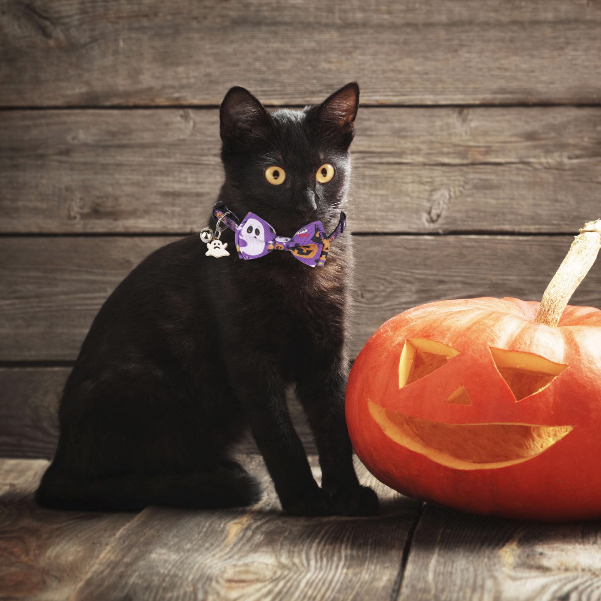 Adoggygo Halloween Cat Collars With Bow Bell, Breakaway Cat Collar With Bowtie Pumpkin Ghost Cat Kitten Collar For Girl Boy Cats Kittens (Halloween)
