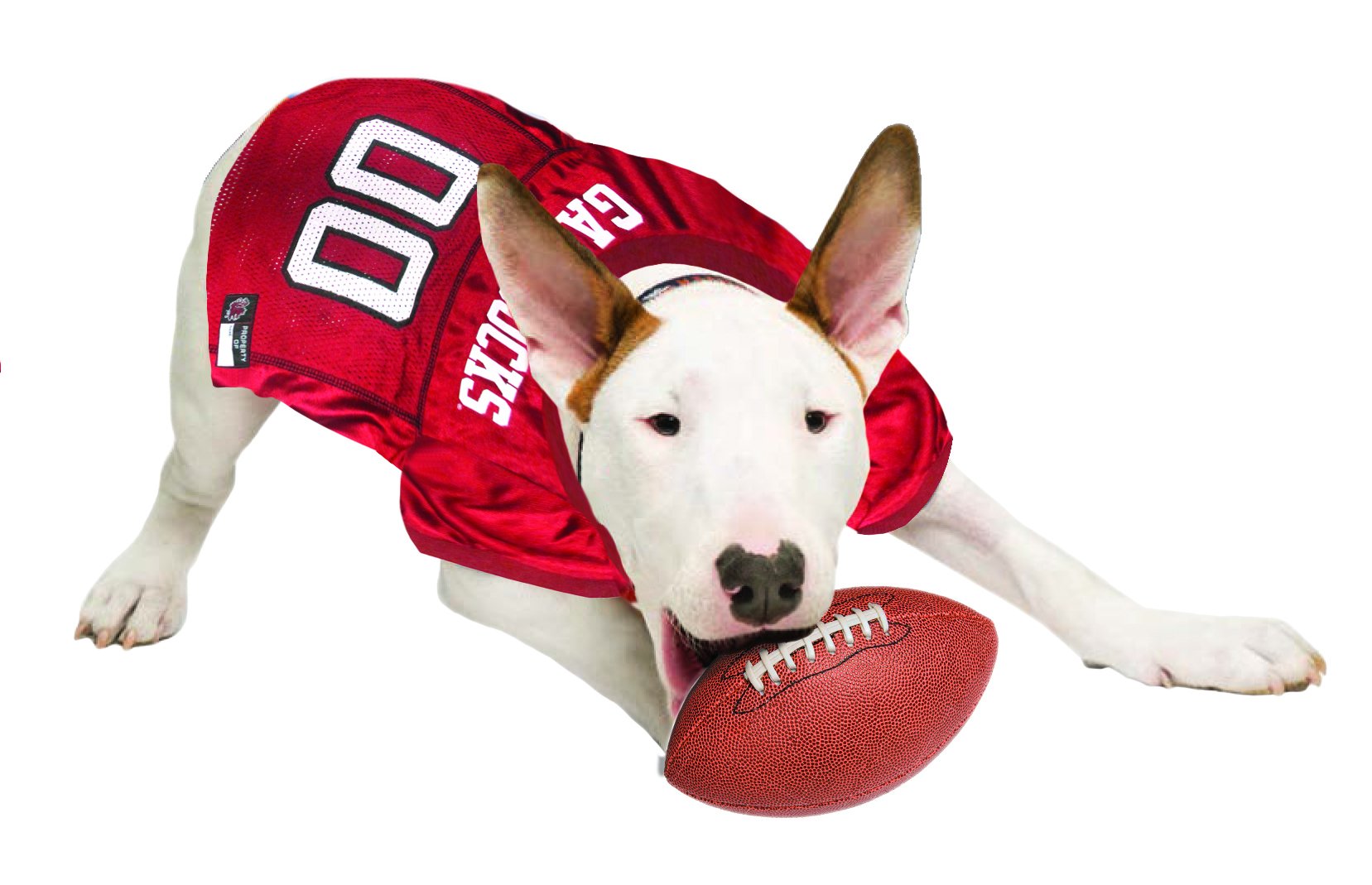 Pets First NCAA College South Carolina Gamecocks Mesh Jersey for DOGS & CATS, Medium. Licensed Dog Jersey with your Favorite Foo