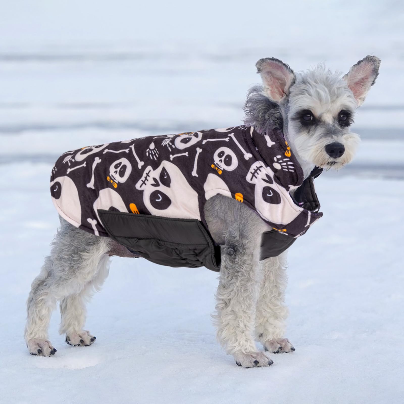 Cutebone Winter Dog Jacket - Waterproof & Windproof, Reversible, Soft Coat With Leash Hole, Thick & Adjustable For Small To Larg