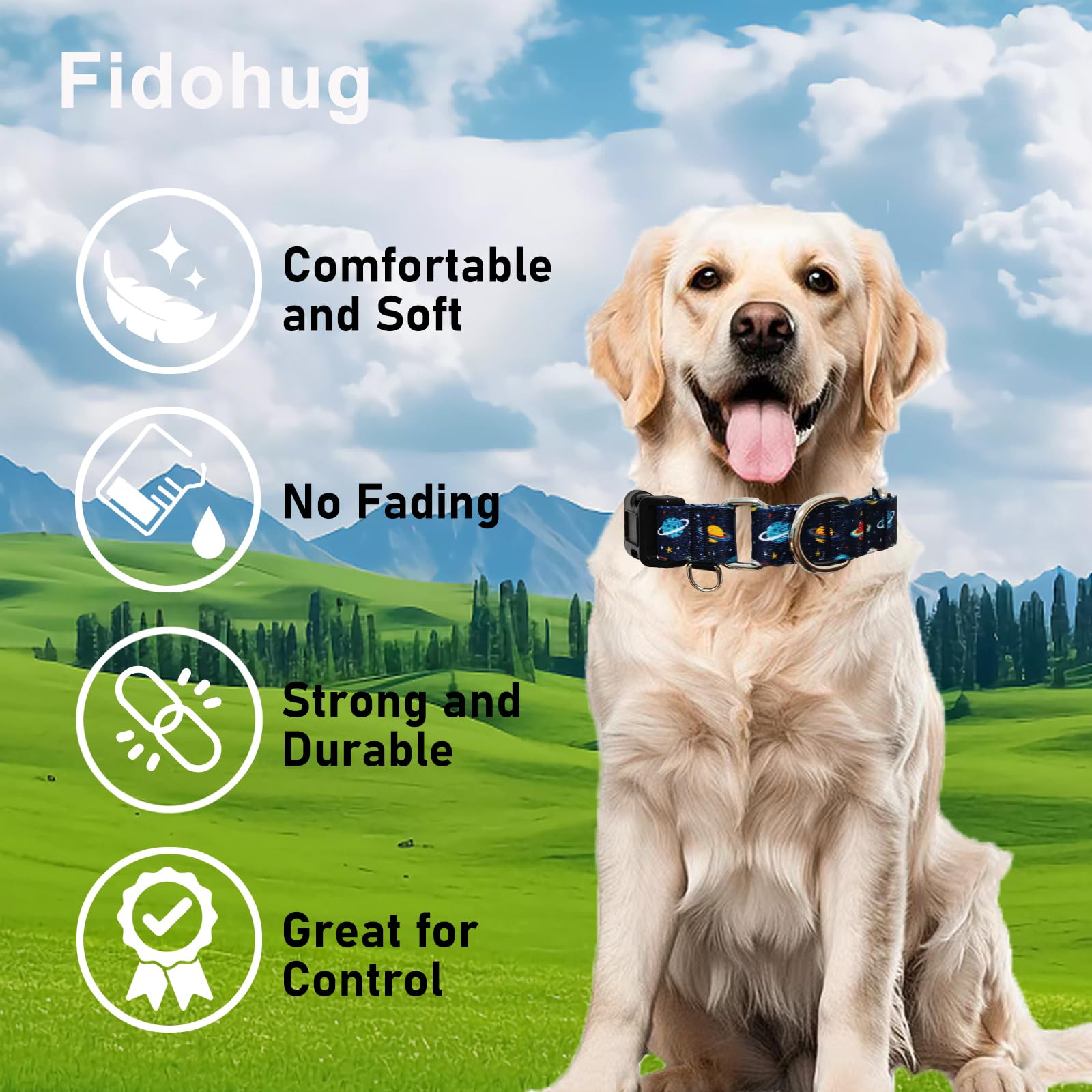 Fidohug Martingale Dog Collars With Buckle No Slip Training Boy Dog Collar For Large Dogs (Blue Space, Large)