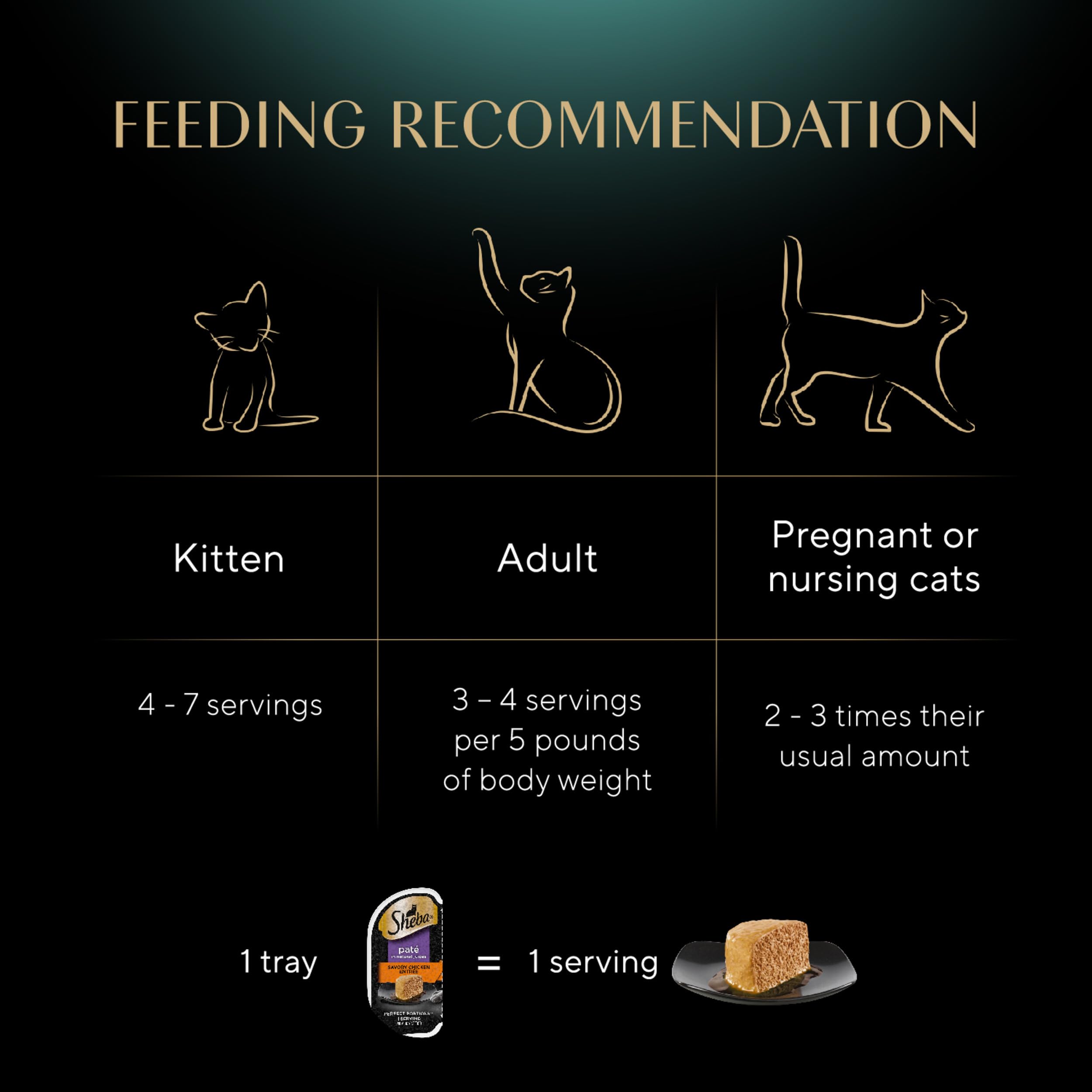 Sheba Perfect Portions Pat   Adult Wet Cat Food Trays (24 Count, 48 Servings), Savory Chicken Entr  e, Easy Peel Twin-Pack Trays