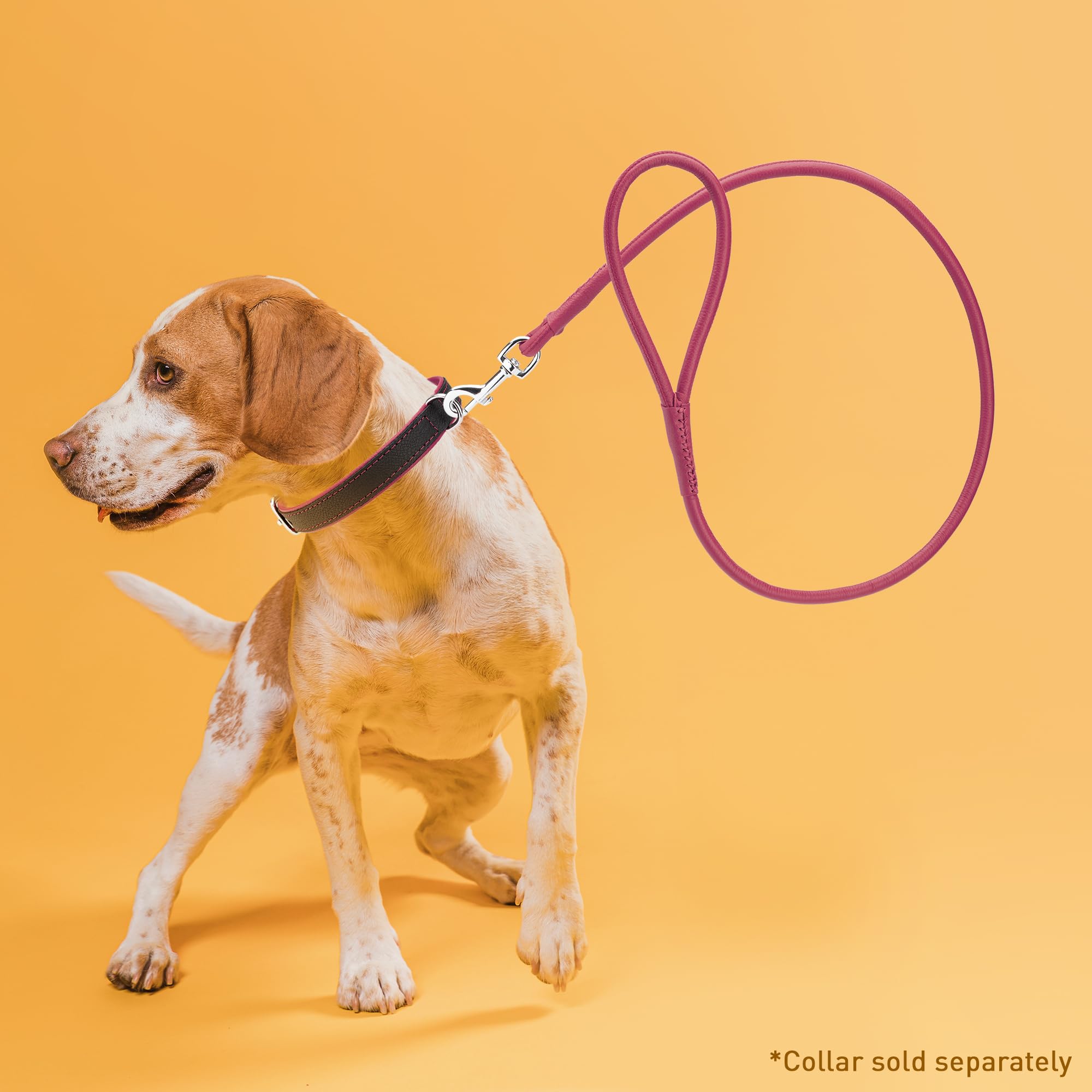 Dogline Soft And Padded Rolled Round Leather Leash For Dogs W1/4' - L72, Hot Pink