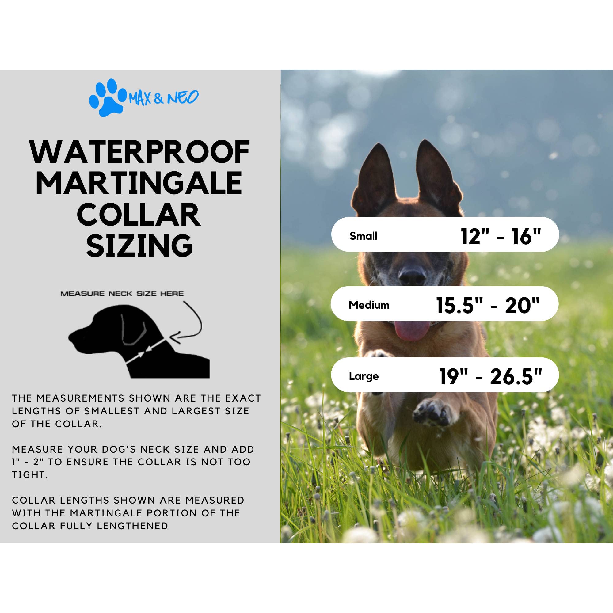 Max And Neo Waterproof Martingale Dog Collar - We Donate A Collar To A Dog Rescue For Every Collar Sold (Large, Red)