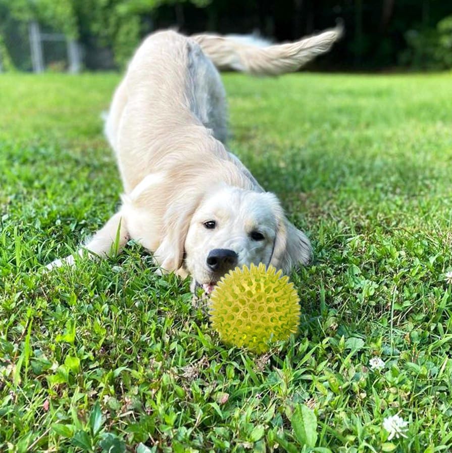 Cutie'S Petbox Squeaky Rubber Spike Toy Ball For Medium, Large Dogs, 3-Colors Blue Green Yellow (3.5 Inch, Multi-Pack)
