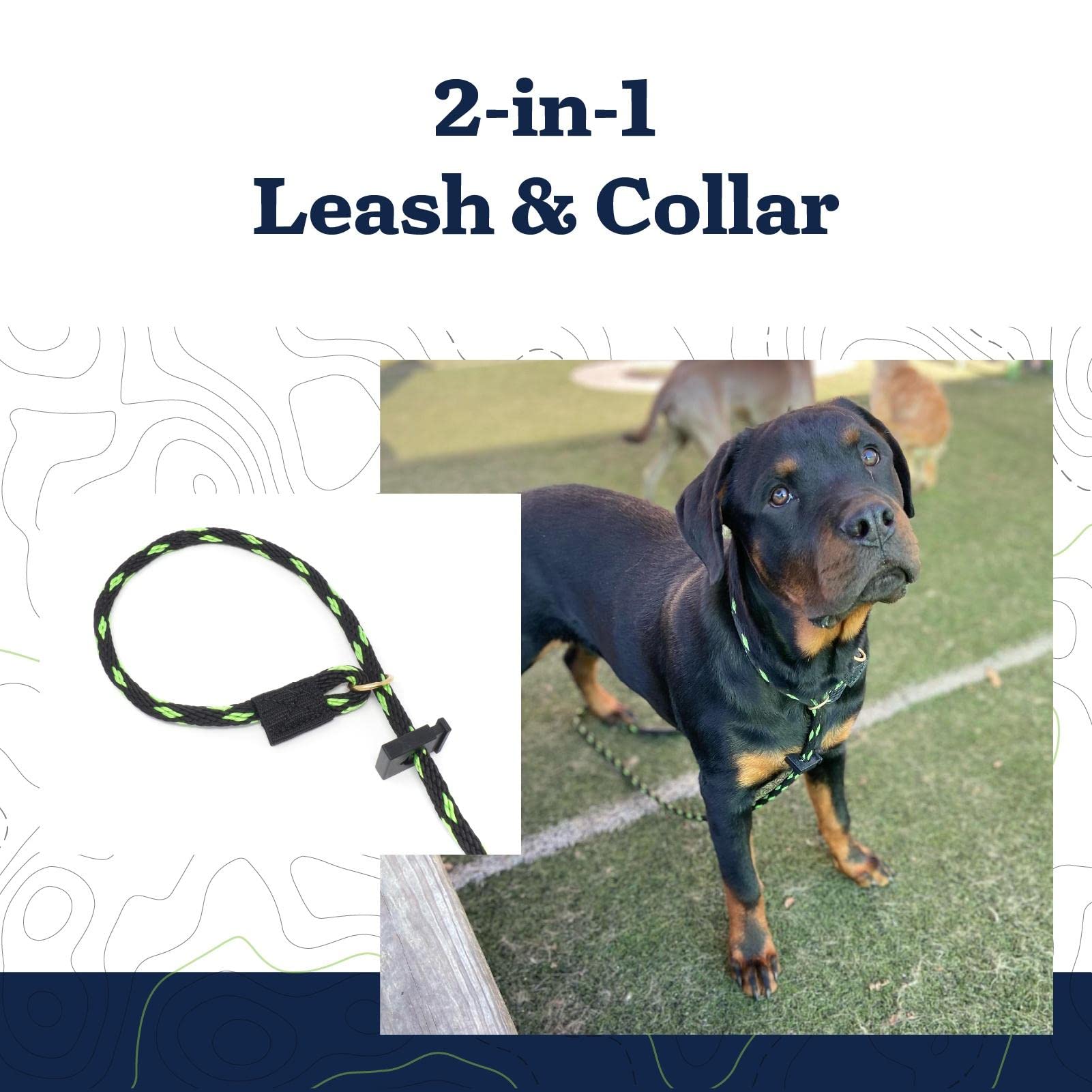Mad Dog Products English Slip Dog Lead | 3/8 Inch X 4 Feet | Black