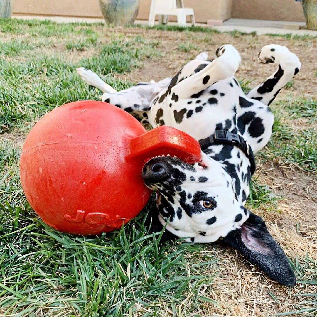 Jolly Pets Tug-N-Toss Dog Toy Ball With Handle, 10' Xl, Red