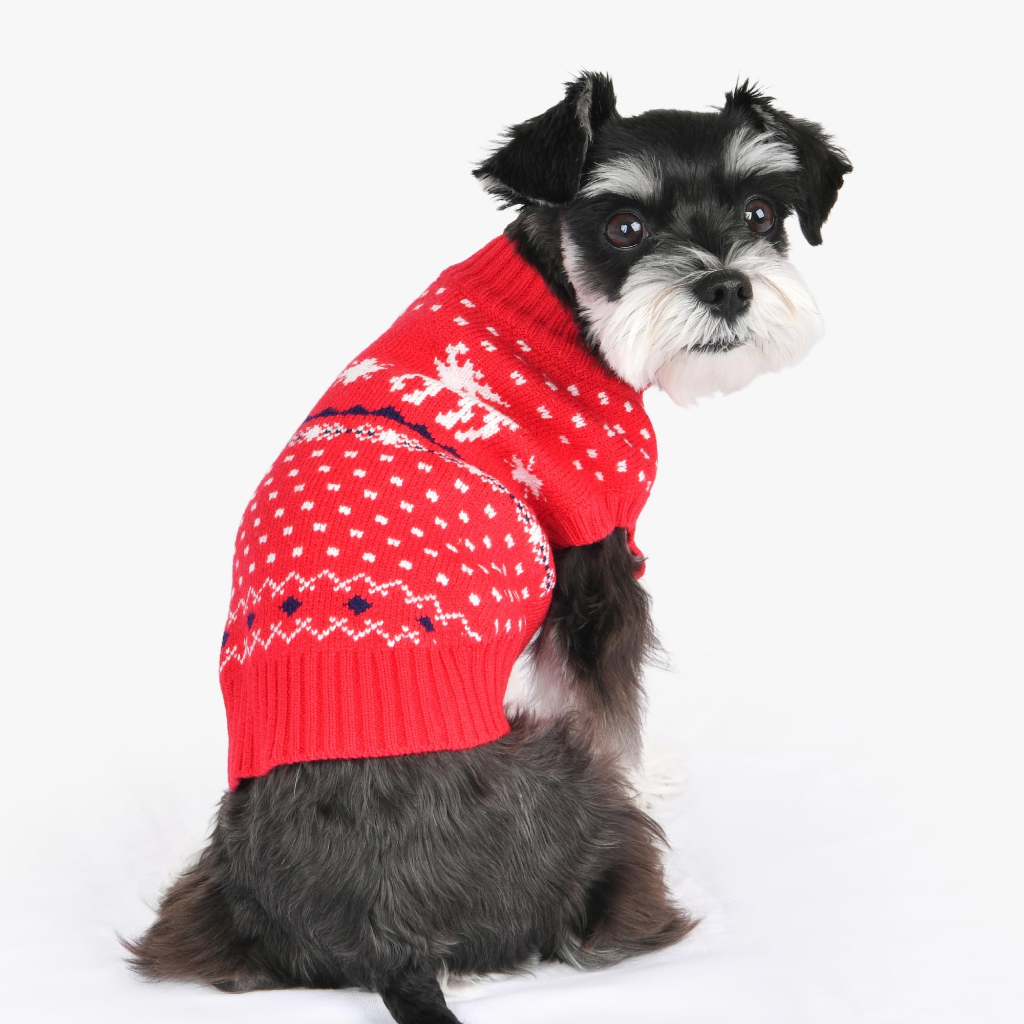 Puppia Dyani Dog Knit Sweater Winter Season For Small And Medium Dogs, Red, X-Large