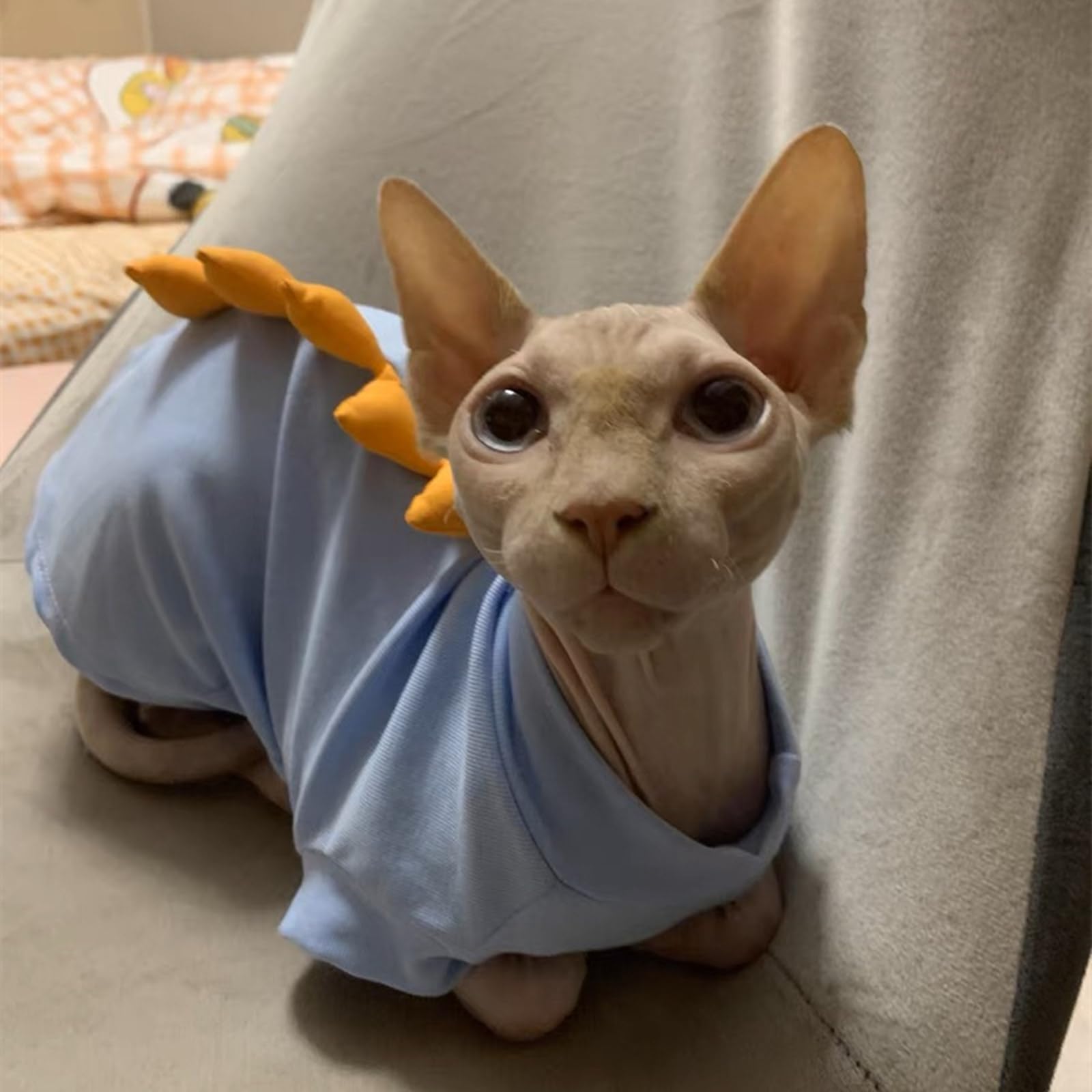 Dinosaur Sphynx Hairless Cat Clothes Cute Summer Cotton Shirts Cat Costume Pet Clothes Kitten T-Shirts Cats Small Dogs Apparel (