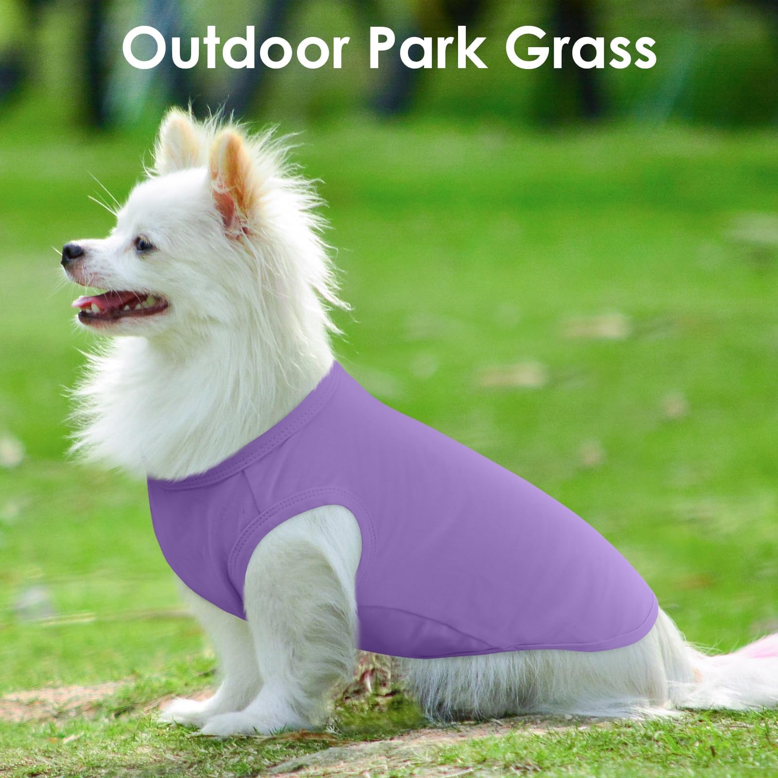 3 Pack Purple Striped Dog T-Shirt For Small Dogs,Sleeveless Shirts Set For Spring,Summer Sun Insect Protection,Lightweight For P