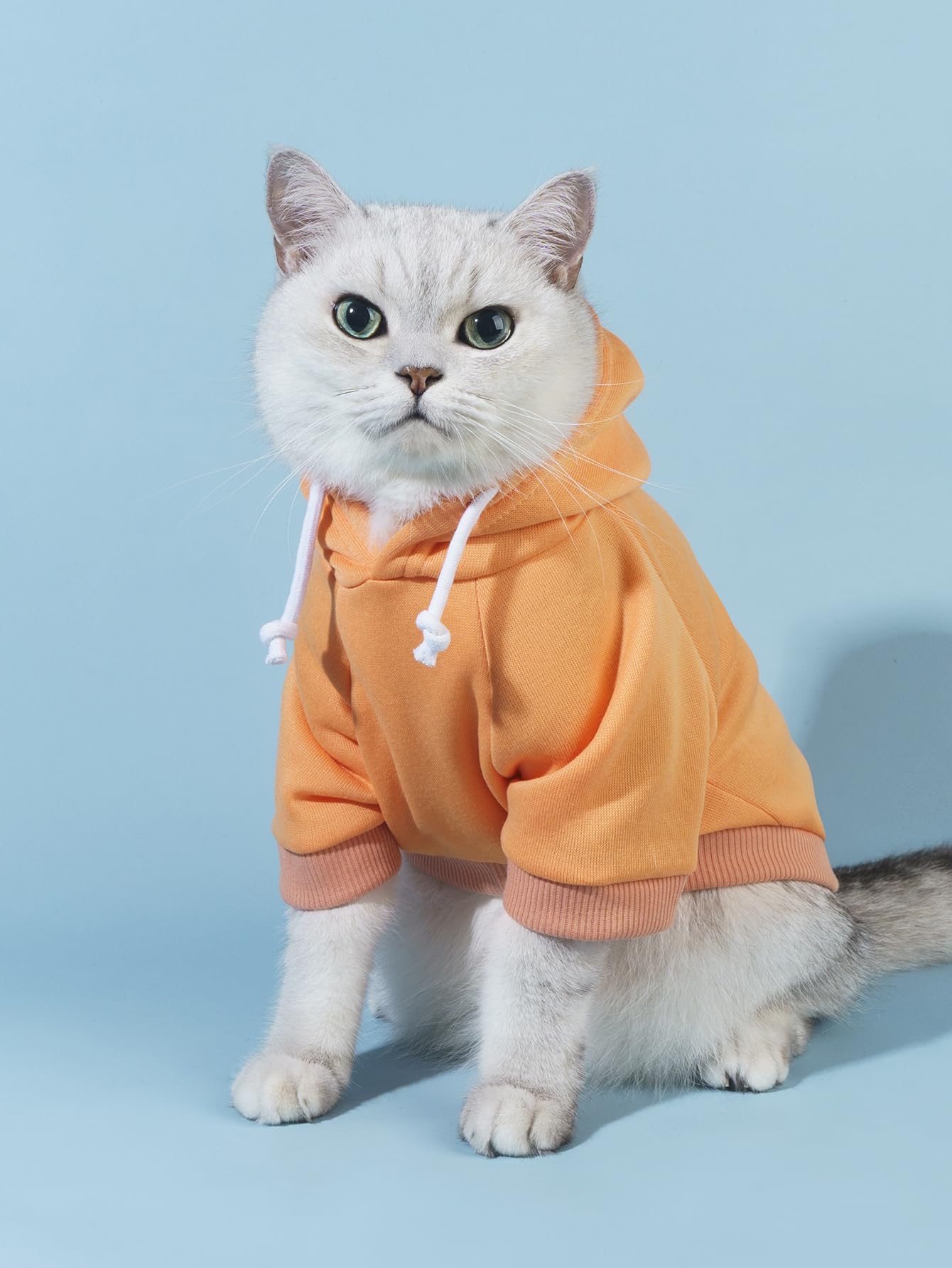 Qwinee Basic Dog Hoodie, Dog Warm Jacket, Cat Apparel, Dog Shirt, Dog Clothes For Puppy Kitten Small Medium Dogs Cats Orange Xl