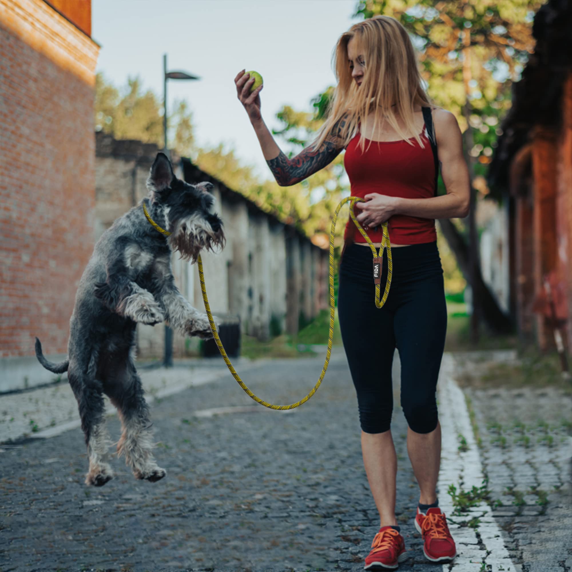 Fida Durable Slip Lead Dog Leash, 6 FT x 3/8", Heavy Duty, Reflective, Yellow, Comfortable for Small Dogs and Puppies