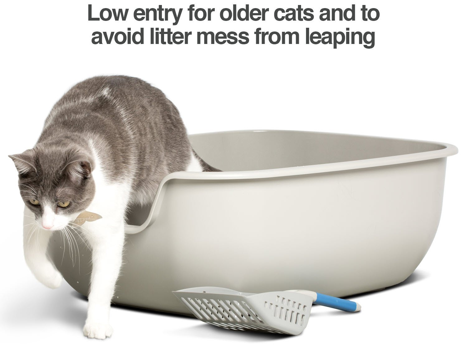PetFusion BetterBox Non-Stick Large Litter Box, Pet Safe Coating for Easier Cleaning, Open Top Promotes Healthy Usage, Made of S