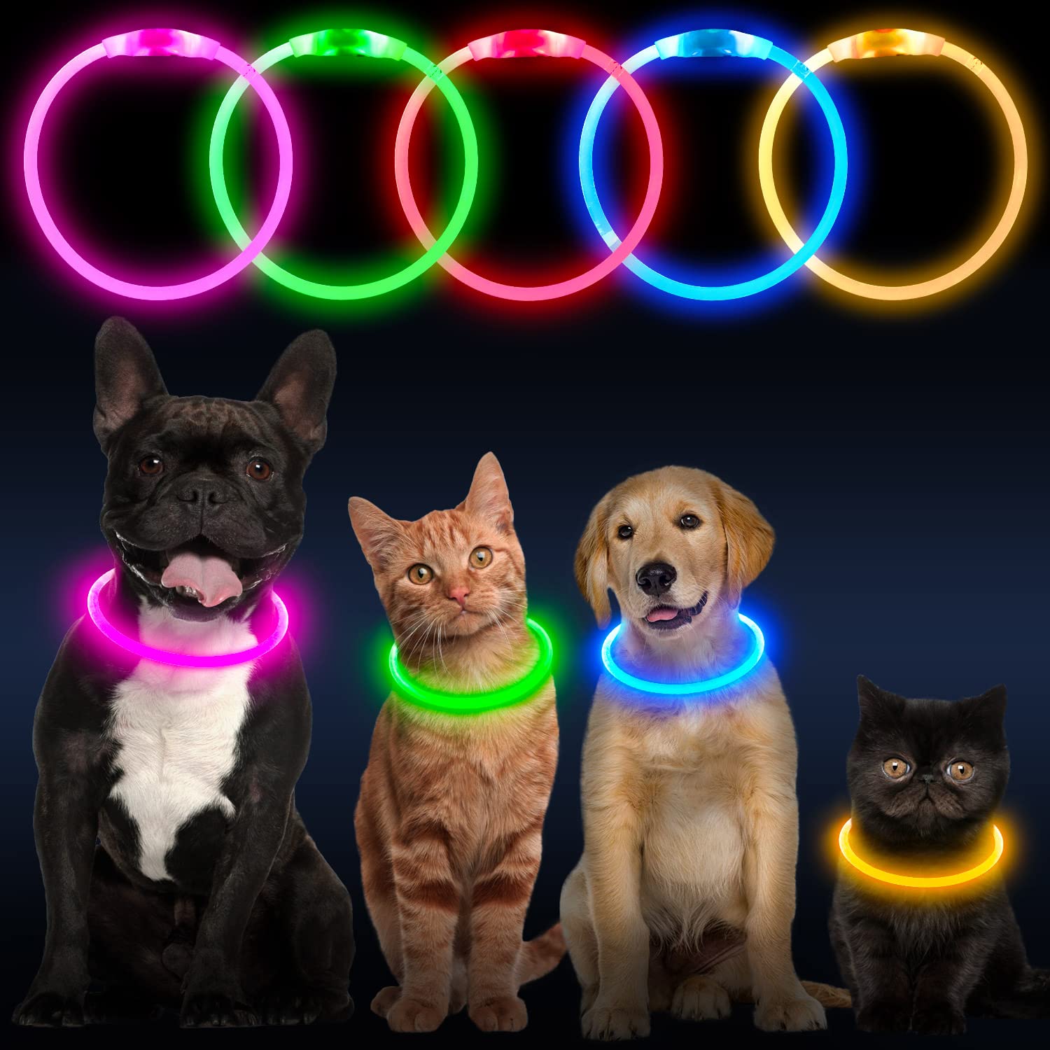 Higuard Led Dog Collar Usb Rechargeable Glowing Pet Collars Lighted Up Safety Necklace Glow In The Dark For You & Your Dogs (Gre