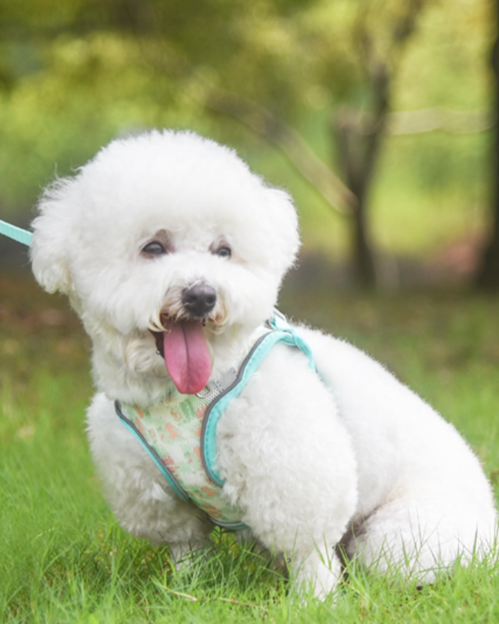 Aecllcea No Pull Dog Harness & Leash Set, Step-In For Medium Puppy, Green, L