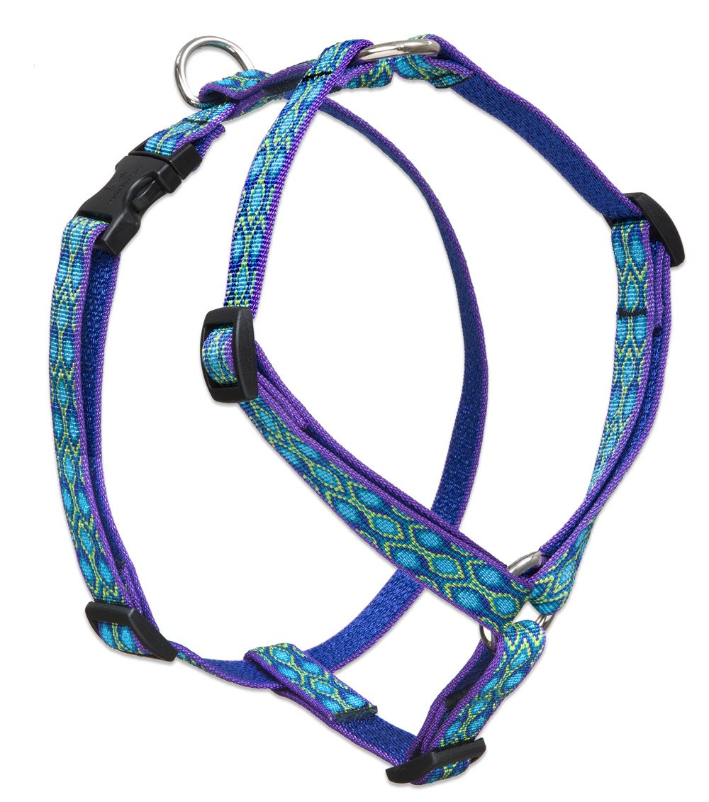 LupinePet Originals 3/4'' Rain Song 12-20'' Adjustable Roman Dog Harness for Small Dogs