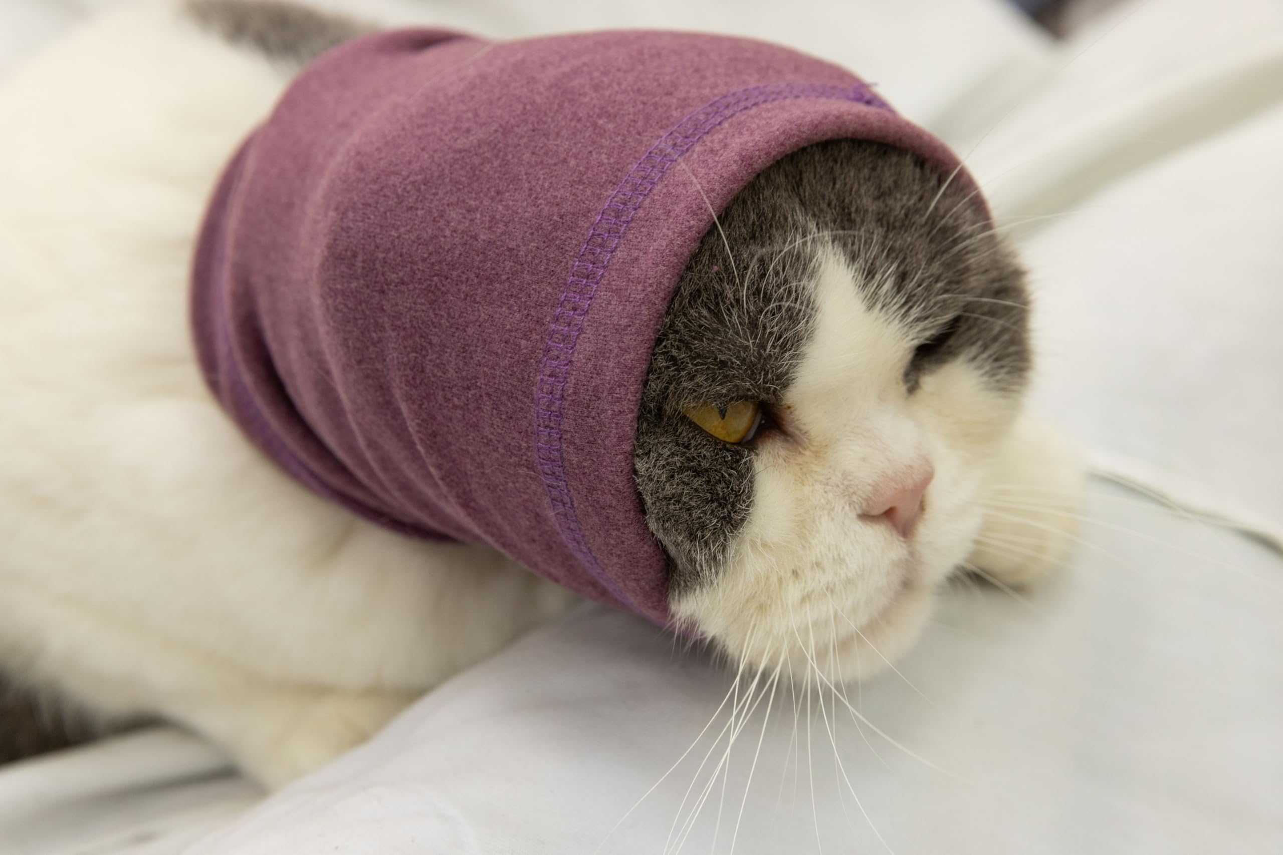 DDFS Cat Snood Cover Noise Cancelling Ear Wrap Neck Cat Head Cover Ear Wrap for Baths Pail Lilac S