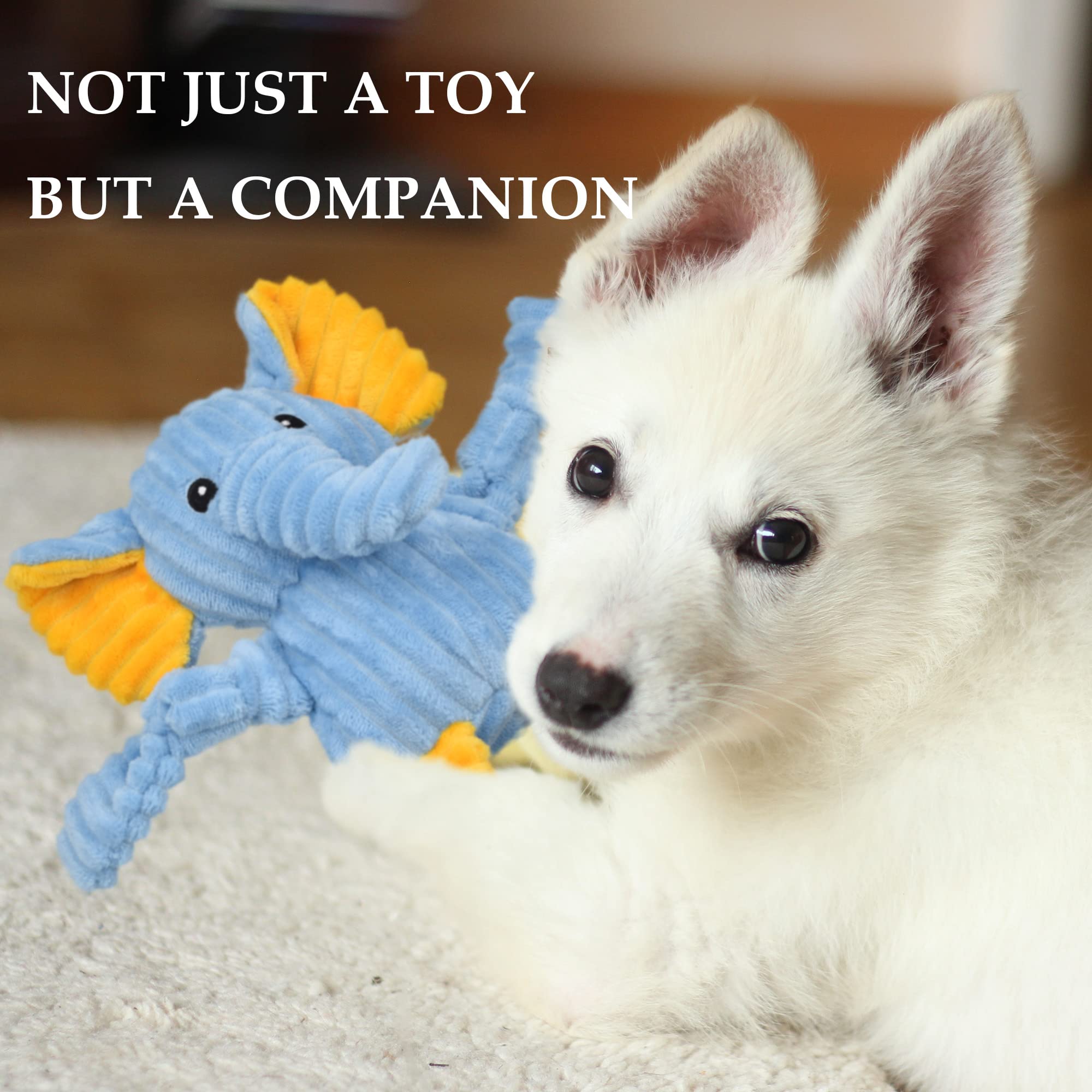LECHONG 5 Pack Tough Dog Toys - Plush Squeaky Assortment for Small Medium Large Dogs - Multi Color Fabric Blend