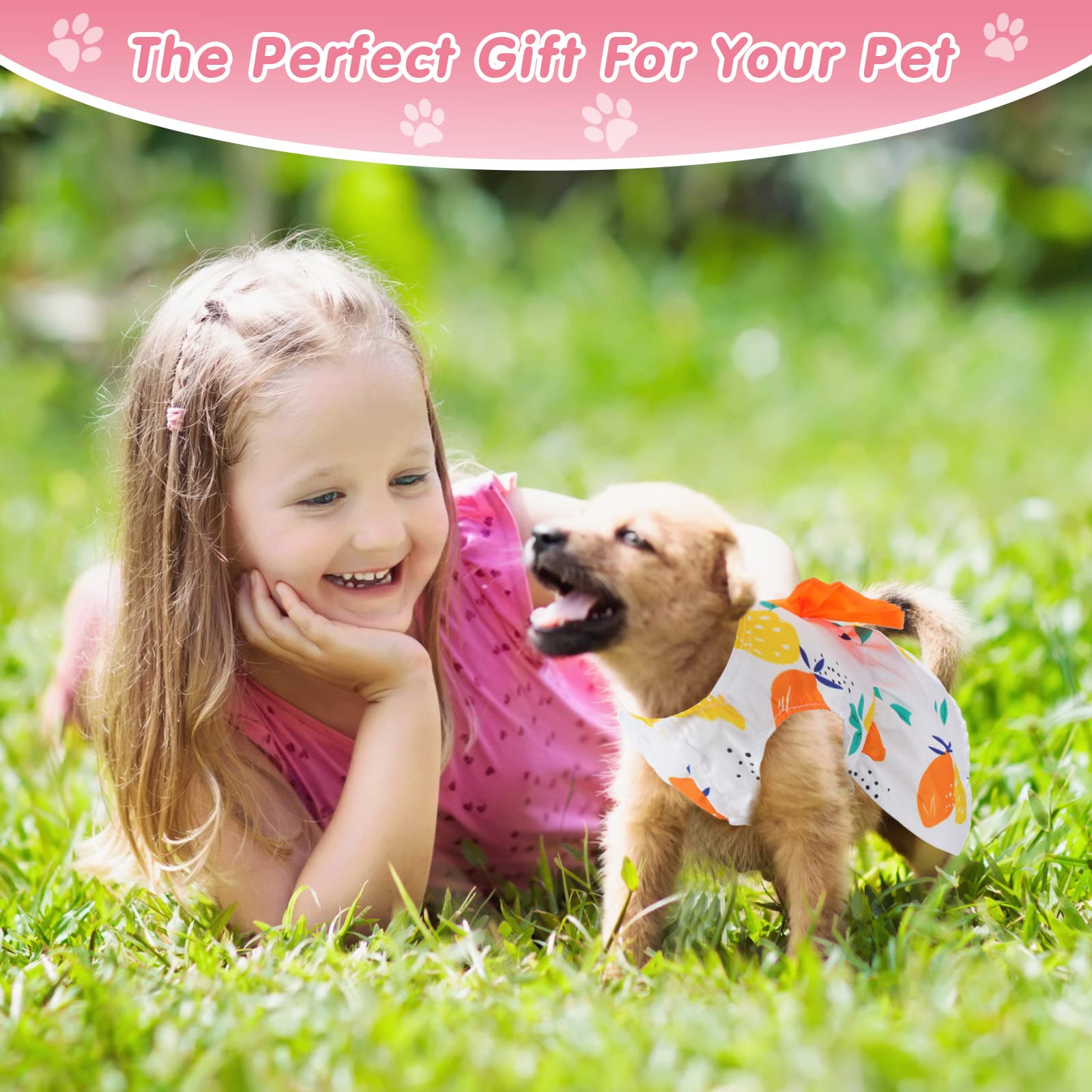 5 Pieces Dog Dresses For Small Dogs Girls Floral Puppy Dresses Pet Dog Princess Bowknot Dress Cute Doggie Summer Outfits Dog Clothes For Yorkie Female Cat Small Pets, 5 Styles(Small)
